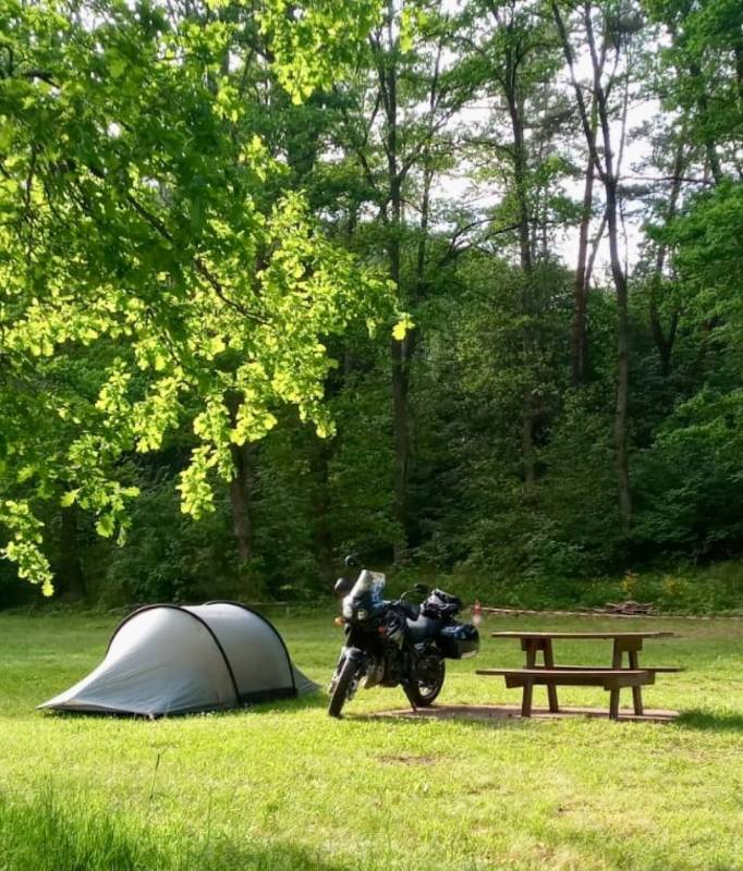 Aire Naturelle de Camping du Hohenfels, Rue du Stade, Dambach, Frankreich