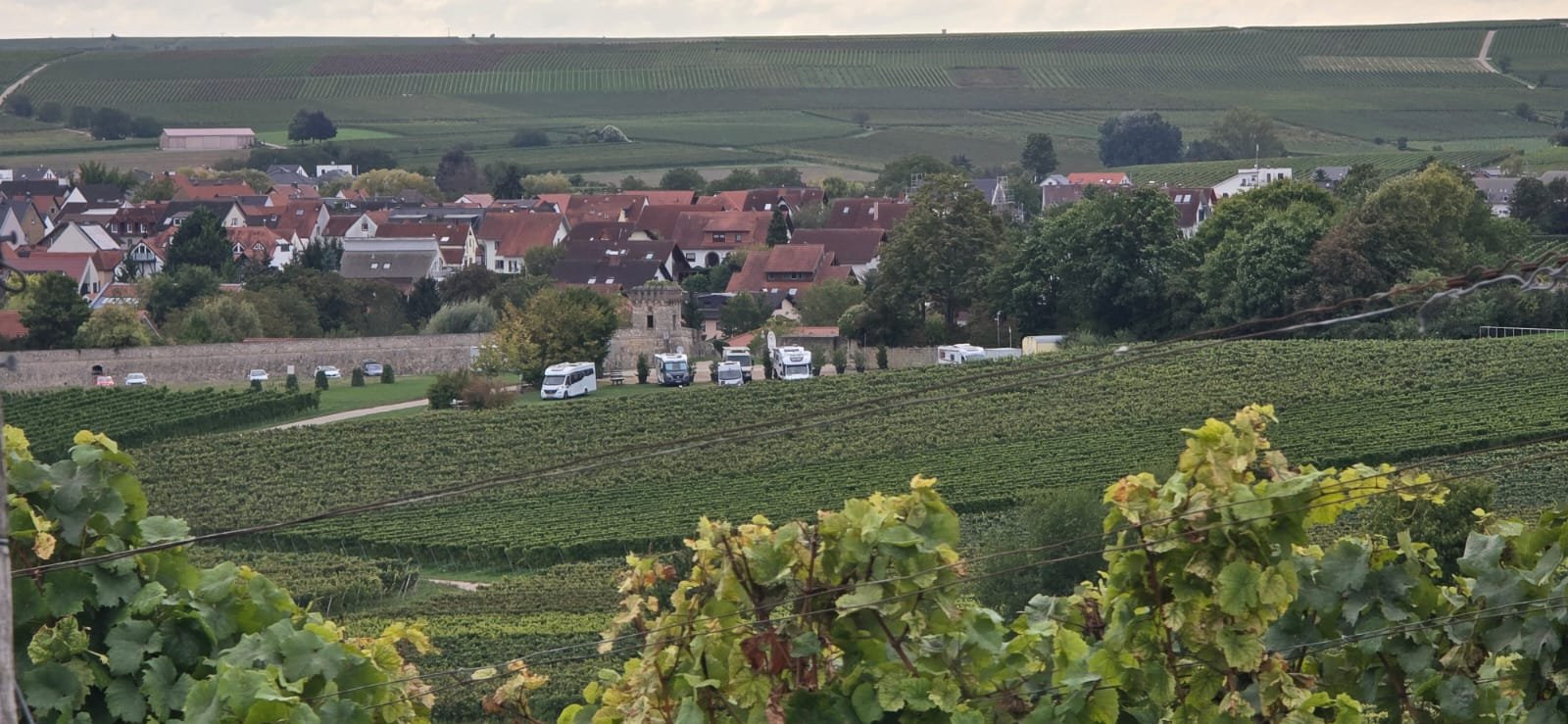 Bodenheim Wohnmobilstellplatz — Photo 5