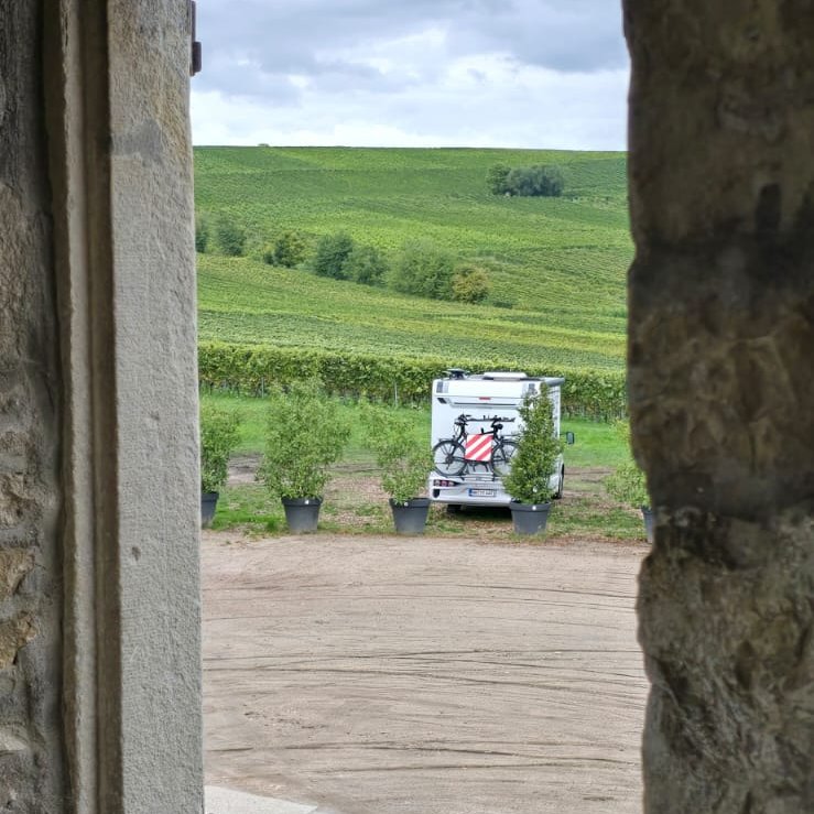 Bodenheim Wohnmobilstellplatz — Photo 6