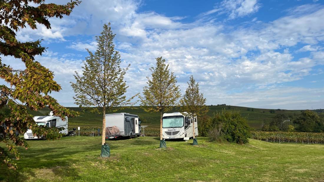 Bodenheim Wohnmobilstellplatz — Photo 4