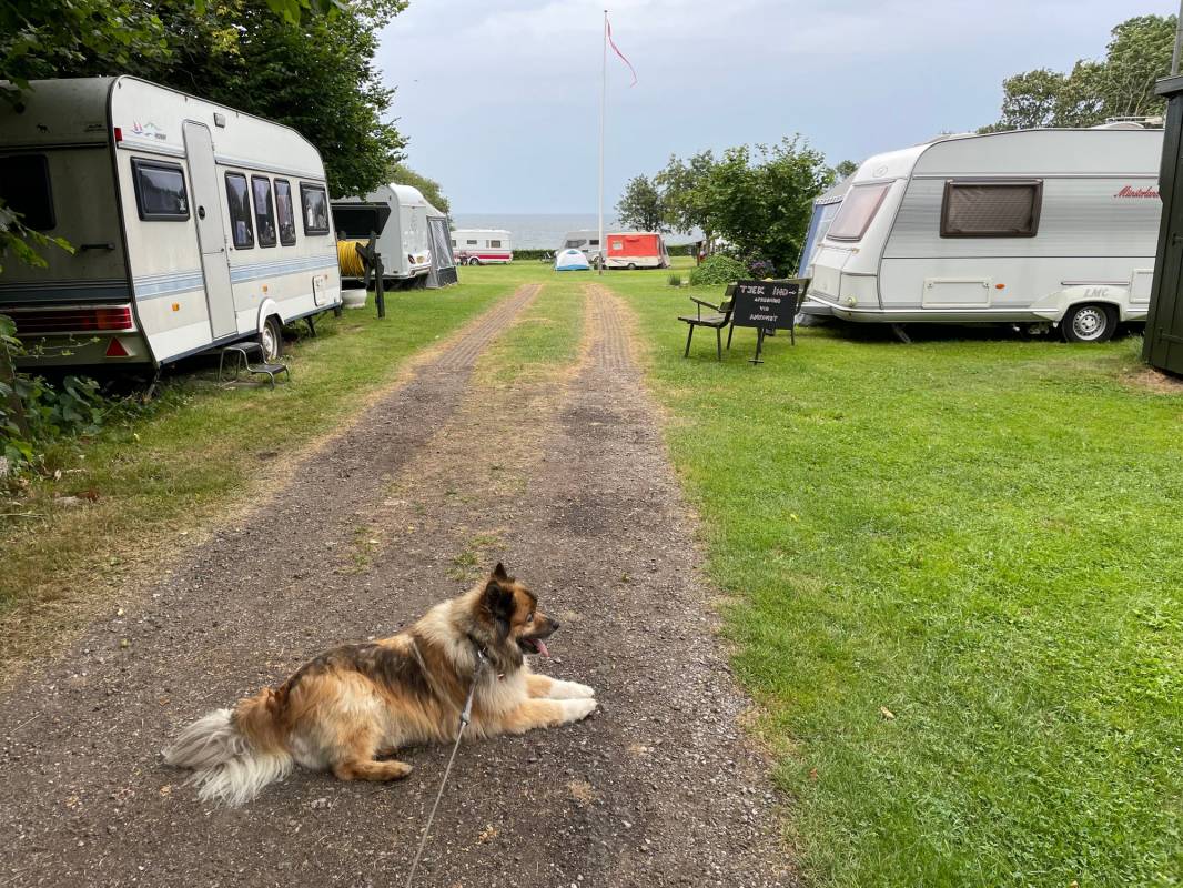 FKK Naturistforeningen Fyn — Photo 3