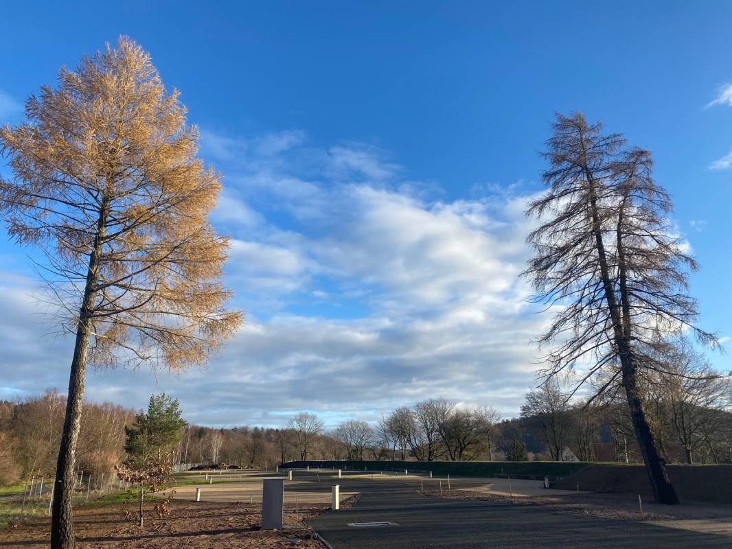 WOMO Bahnhof Friedrichroda — Photo 6