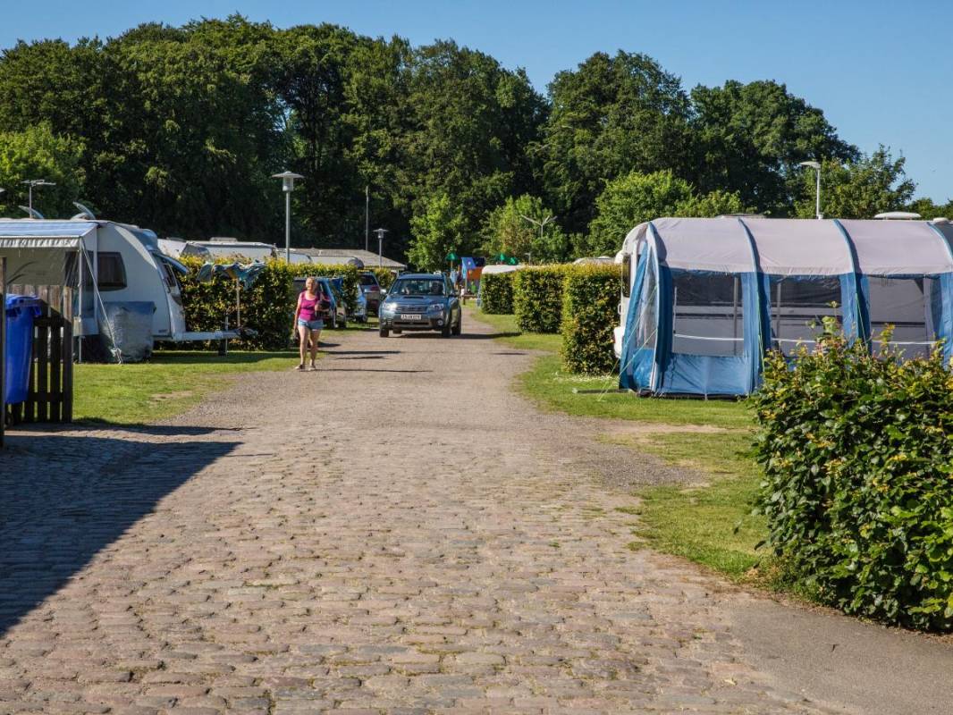 DCU-Camping Odense — Photo 4