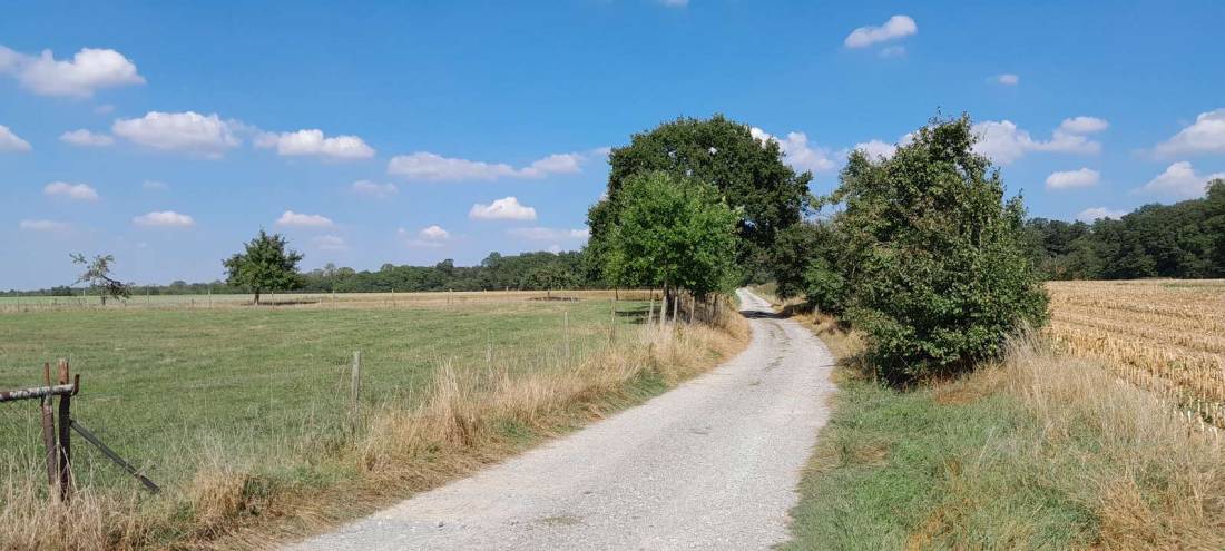 Stellplatz Winkler Caravaning — Photo 4