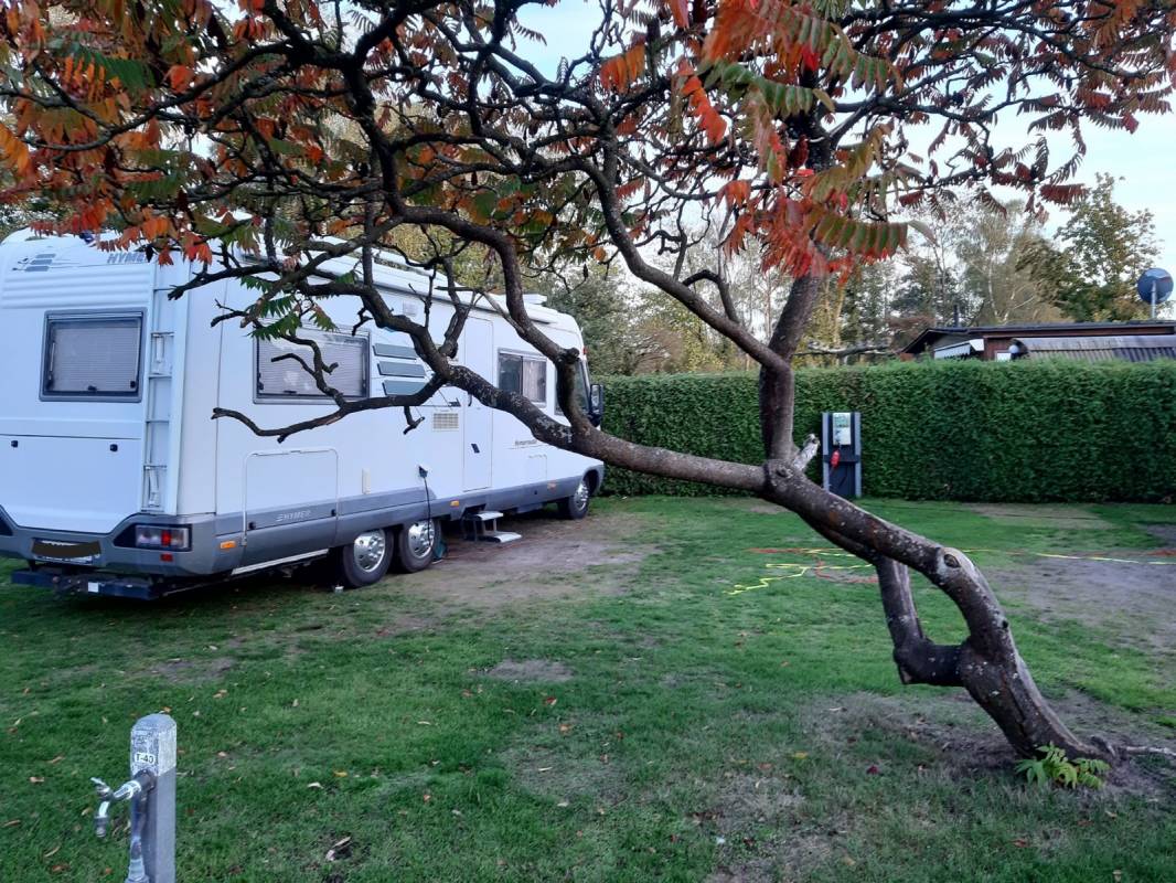 Camping & Klompenmakerij Ten Hagen