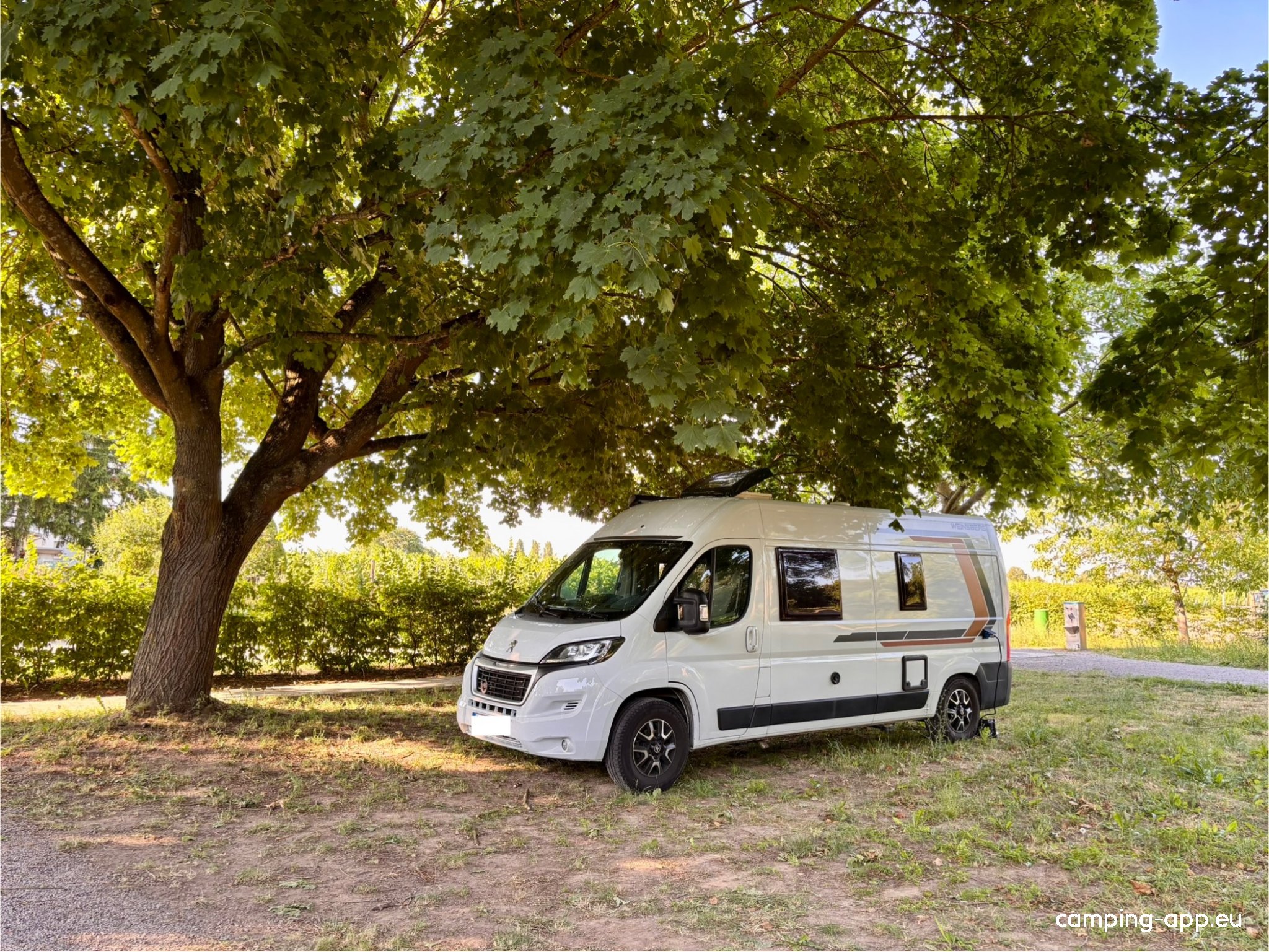 Stellplatz Kirrweiler