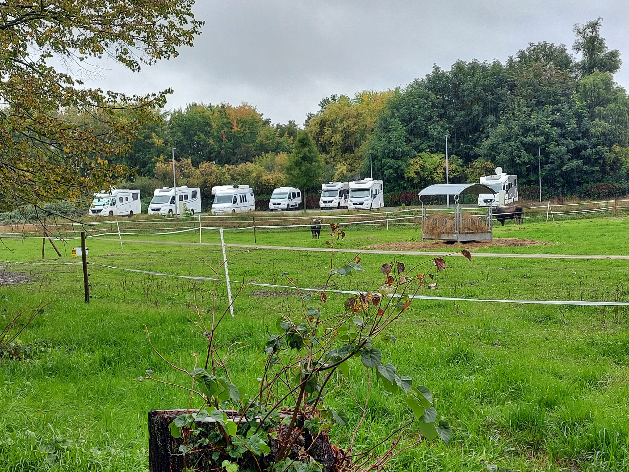 Wohnmobilstellplatz Karolingerstadt Lorsch — Photo 3