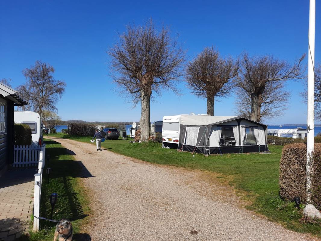 Madeskov Camping — Photo 5
