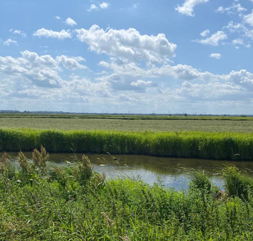 Campingplatz Dümmer-See — Photo 5