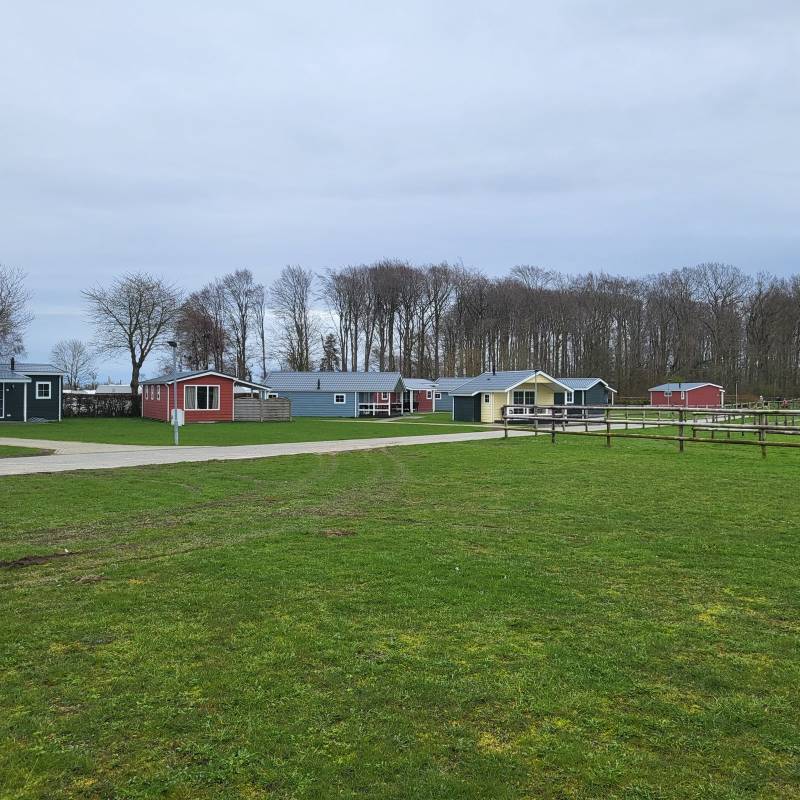 Campingplatz Dorotheenthal — Photo 6