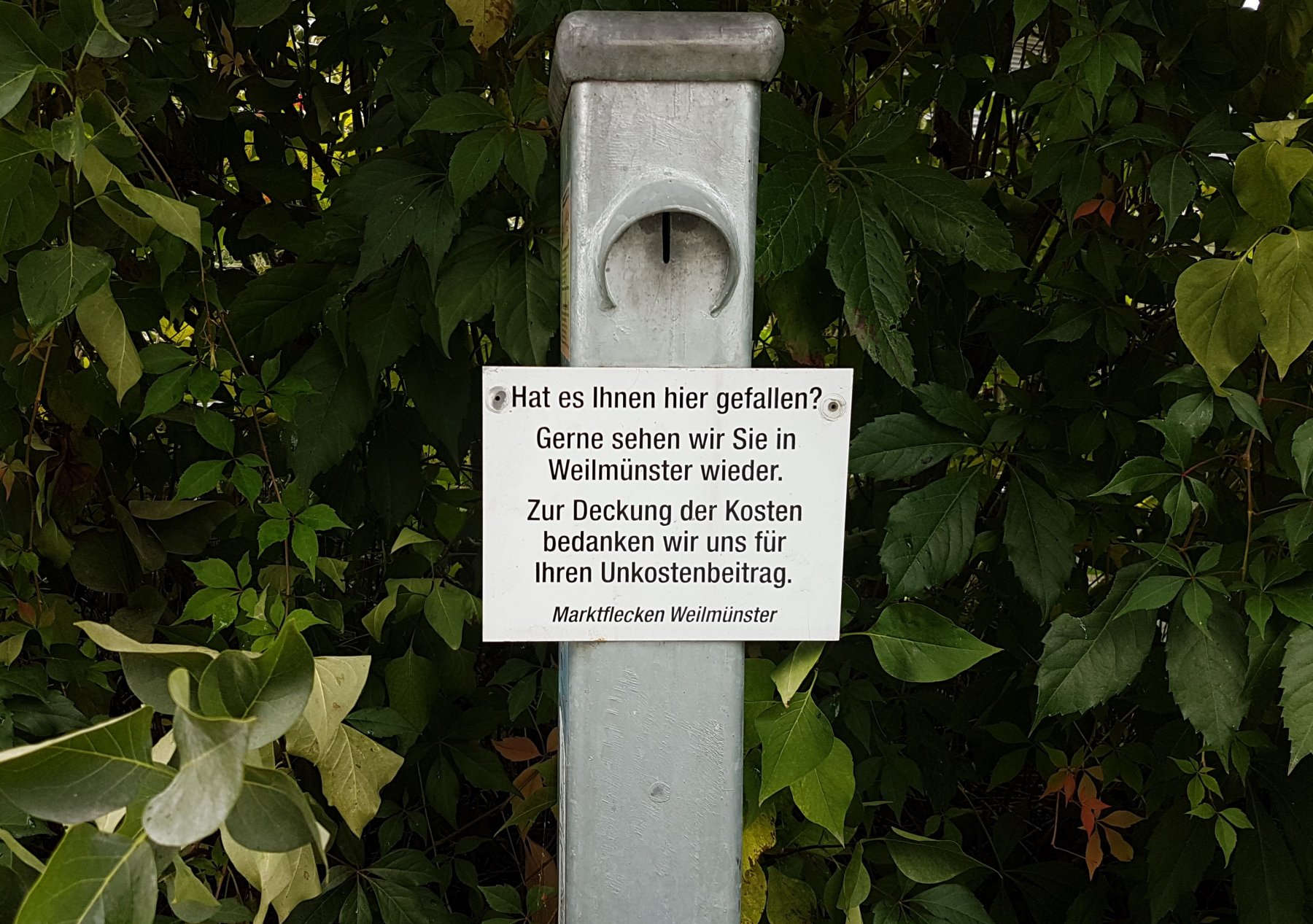 Stellplatz Weilmünster — Photo 3