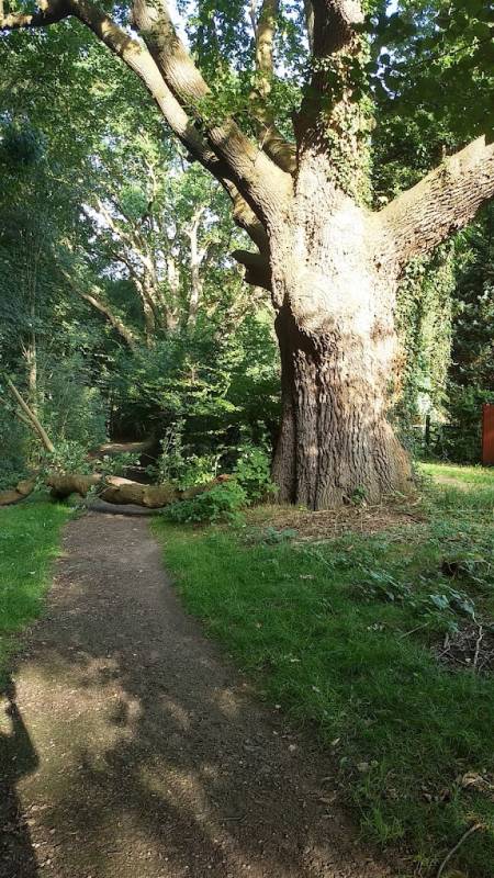 Stellplatz Kellinghusen — Photo 3