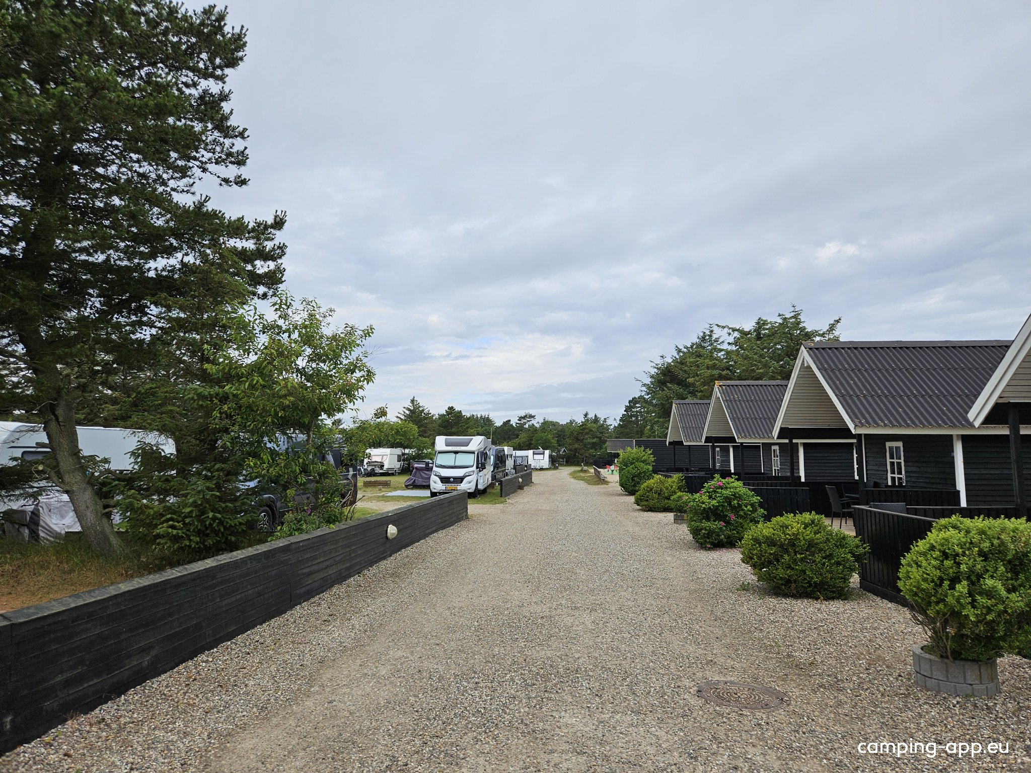 Vejers Familie Camping — Photo 6