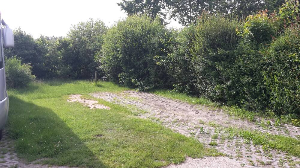 Meergrün Campingpark Olsdorf — Photo 4