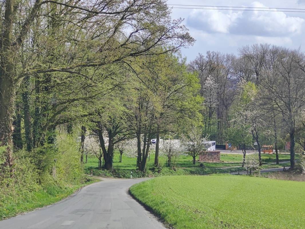 Stellplatz am Kirschlehrpfad Hagen — Photo 4