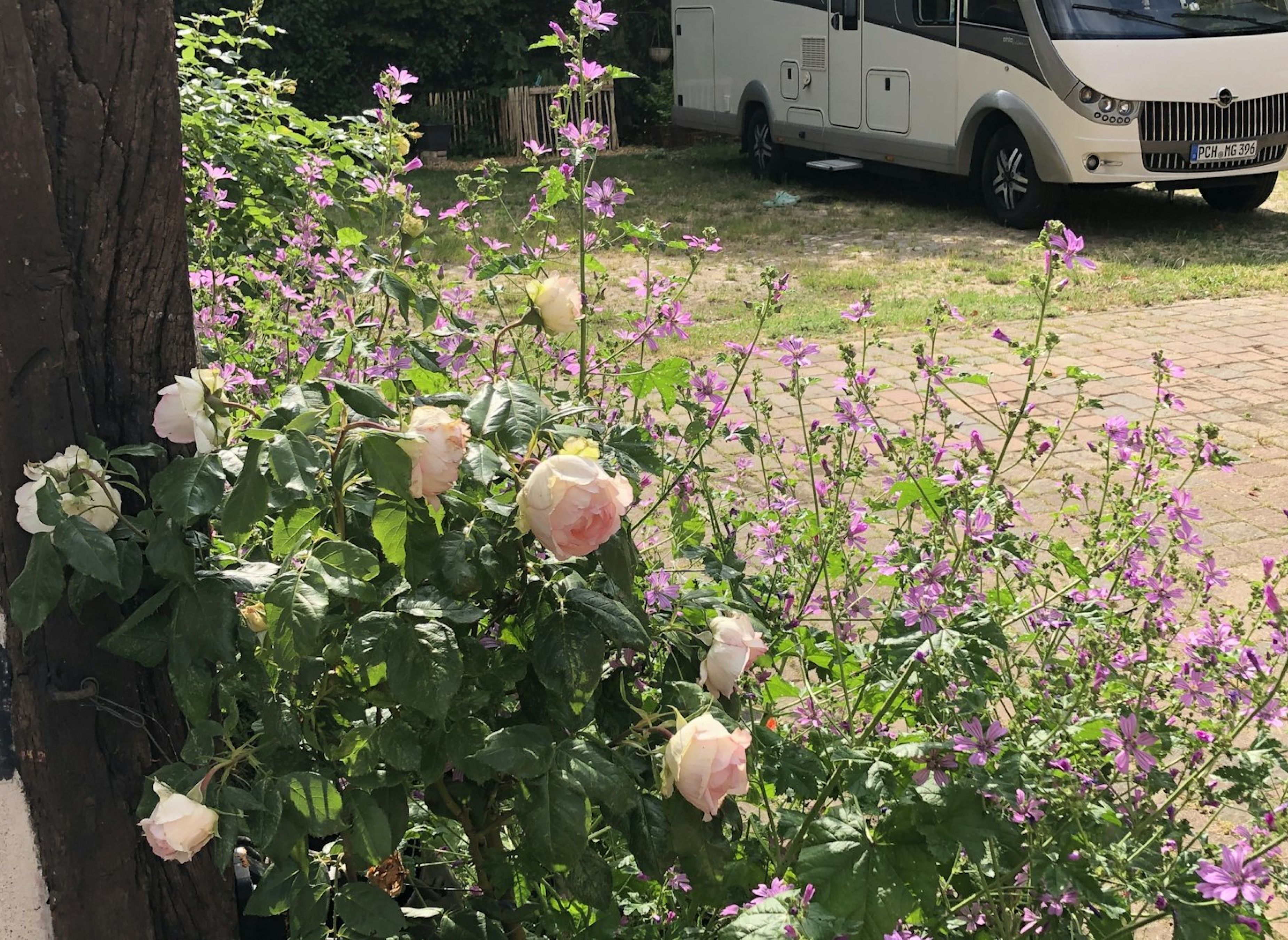 Wohnmobil Stellplatz         „TRAMMER SCHEUNE“