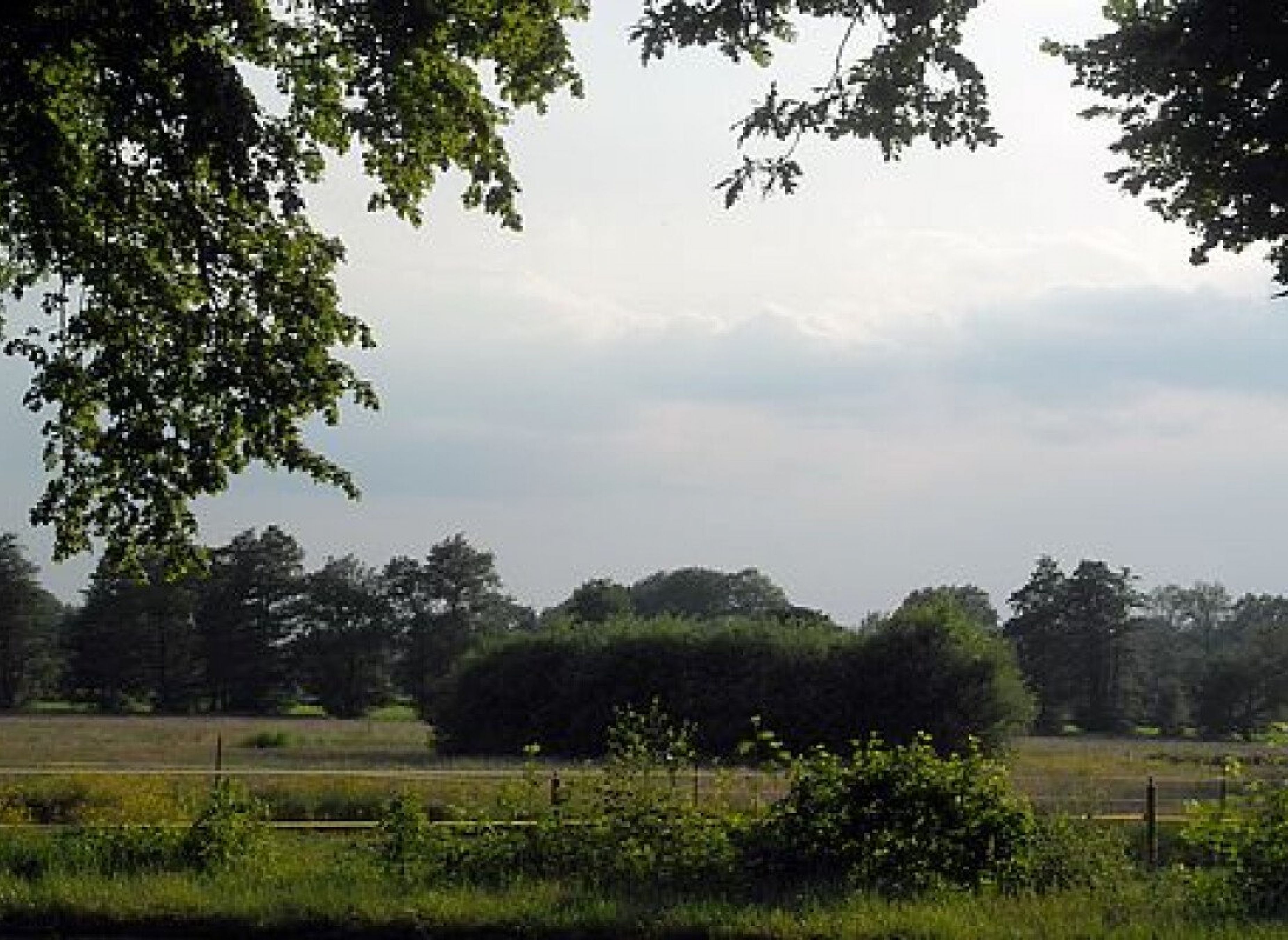 Stellplatz an der Pferdeweide — Photo 3