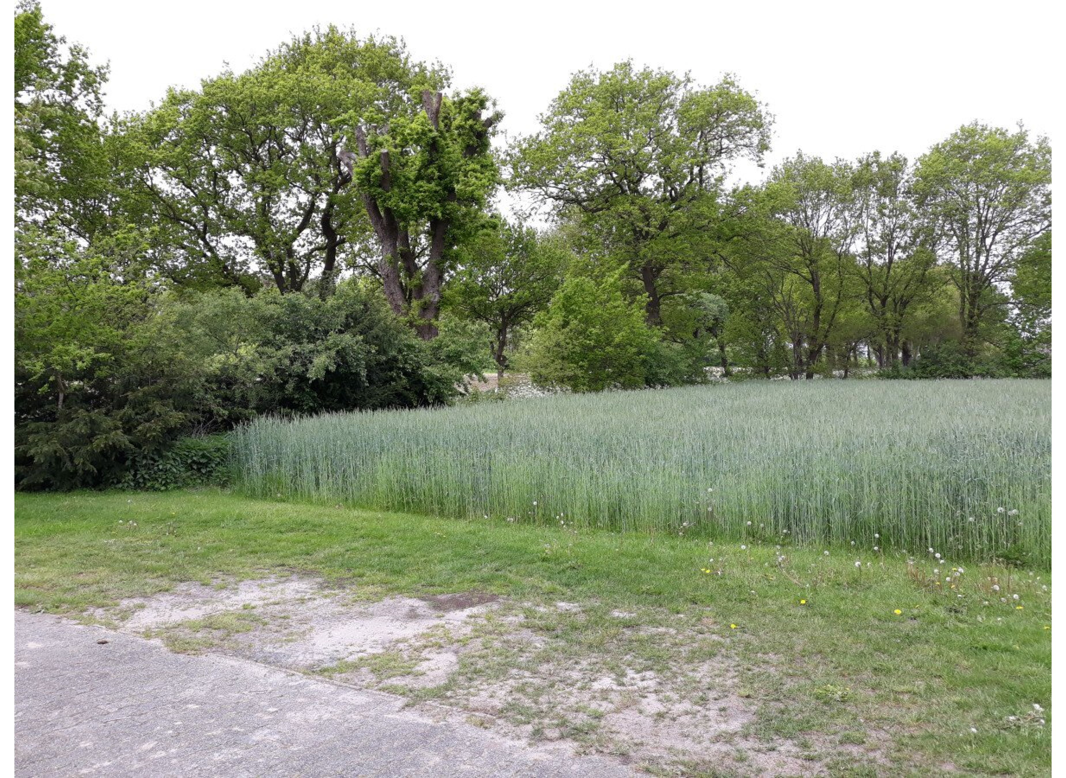 Entspannung in Waldesnähe