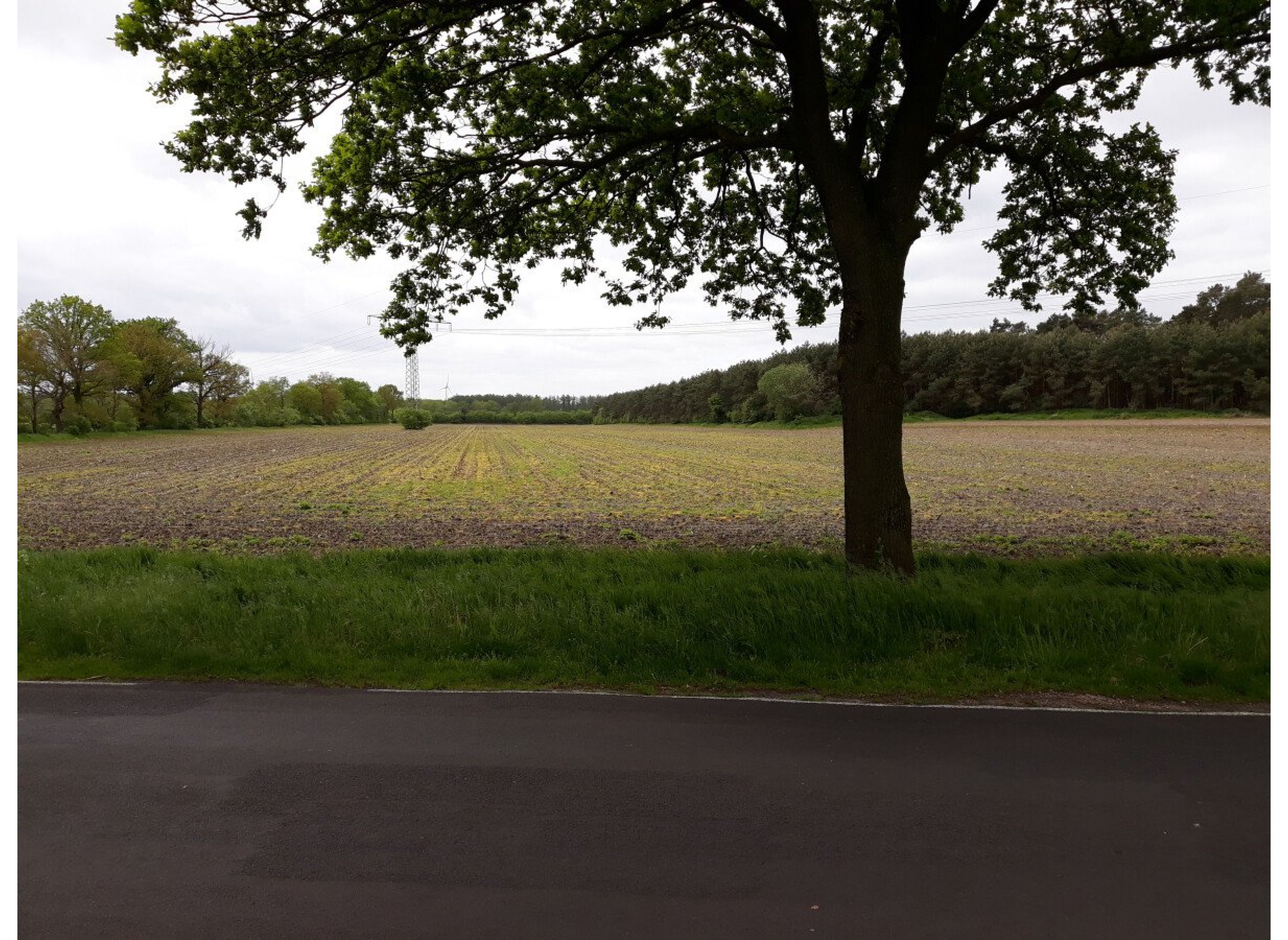 Entspannung in Waldesnähe — Photo 2