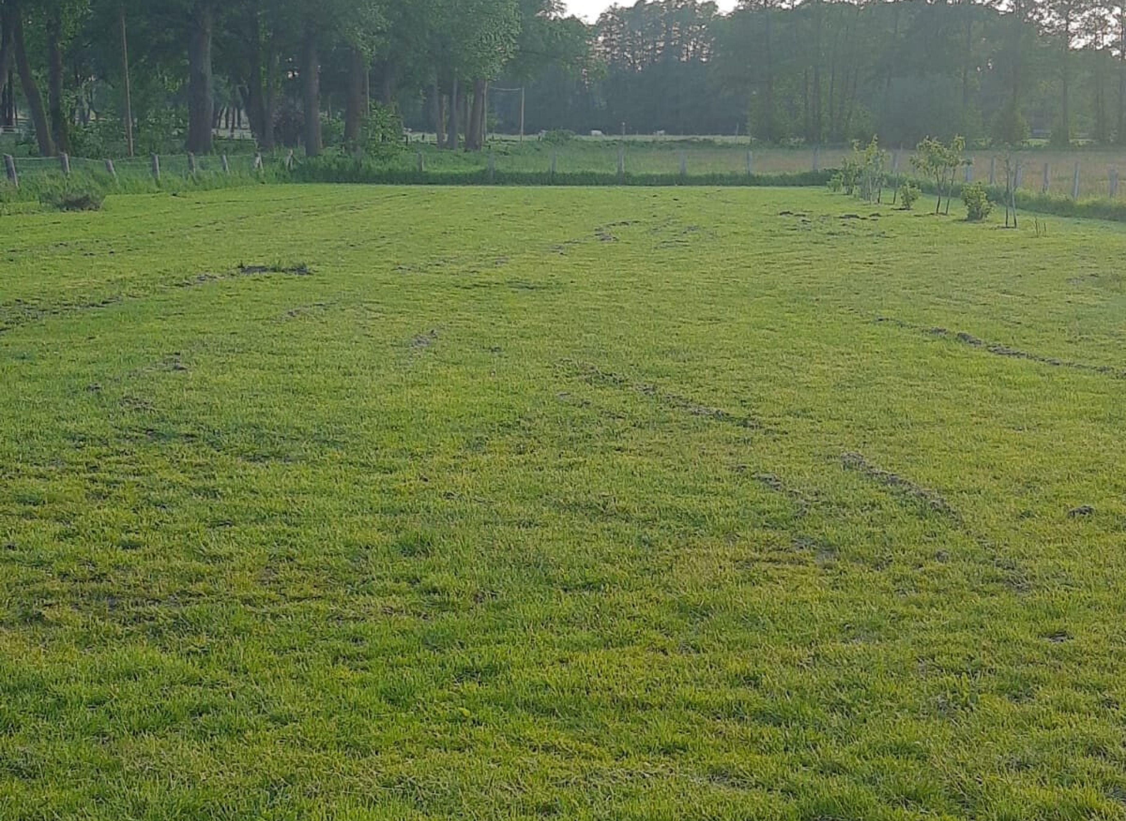 Ruhe wird hier groß geschrieben