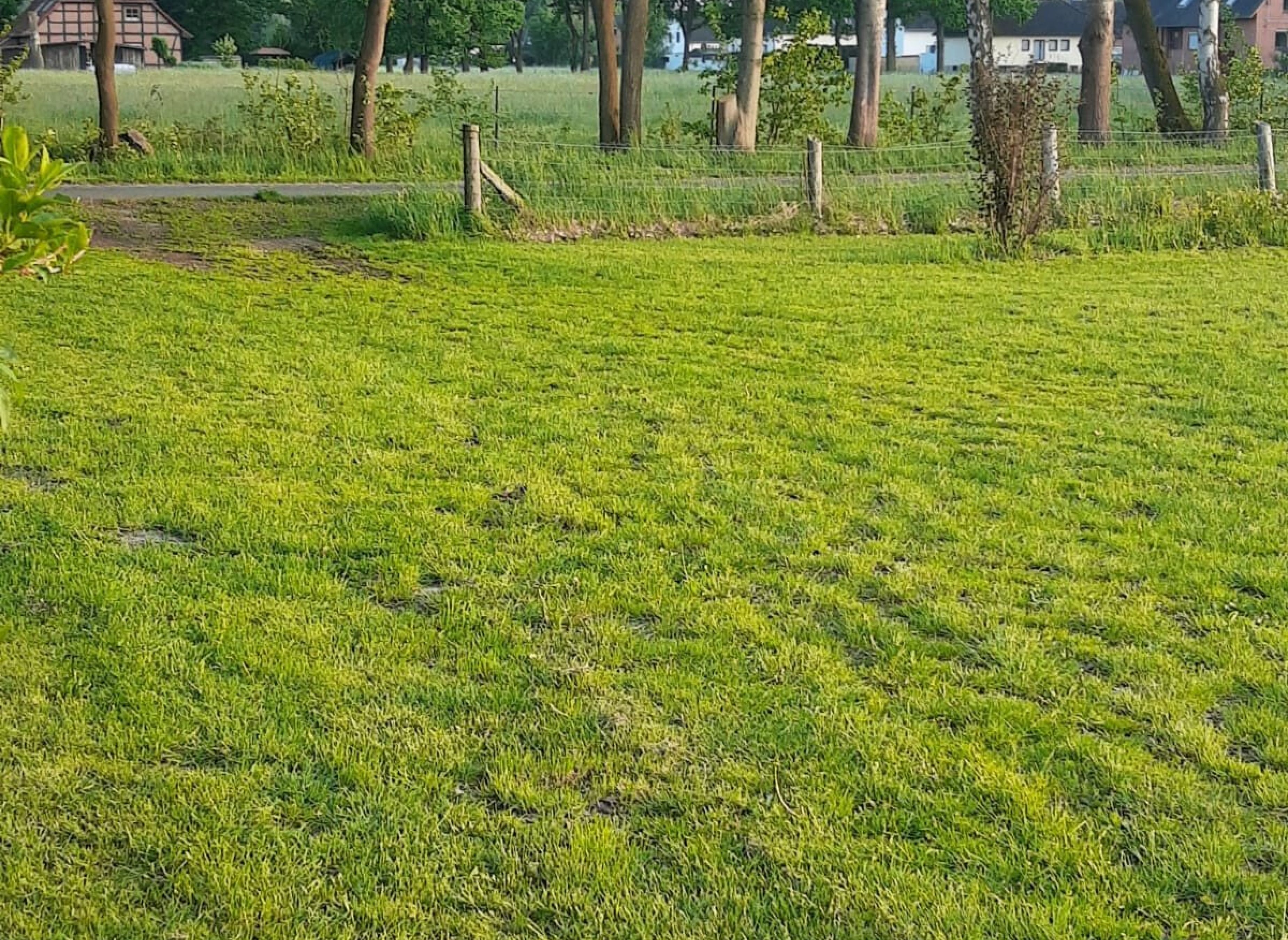 Ruhe wird hier groß geschrieben — Photo 2