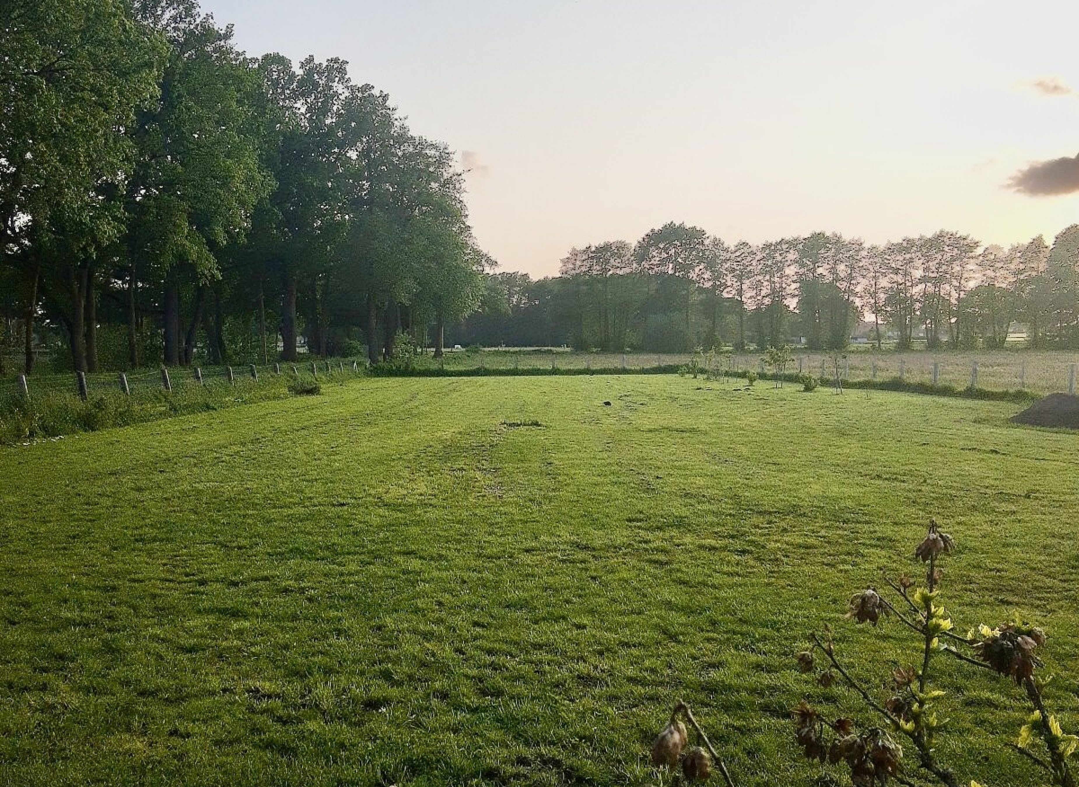 Ruhe wird hier groß geschrieben — Photo 3