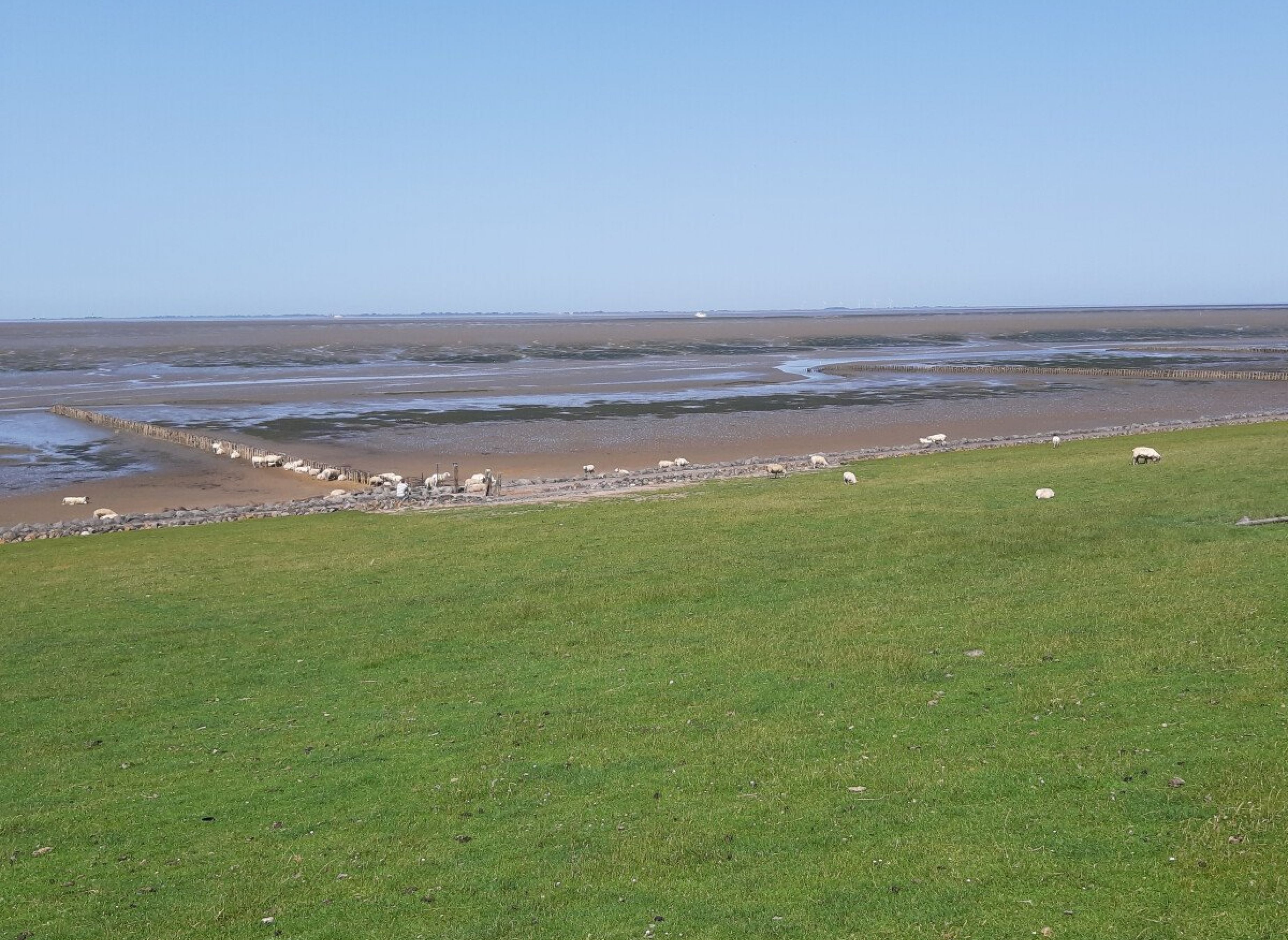 Ponderosa 16 a — Photo 3