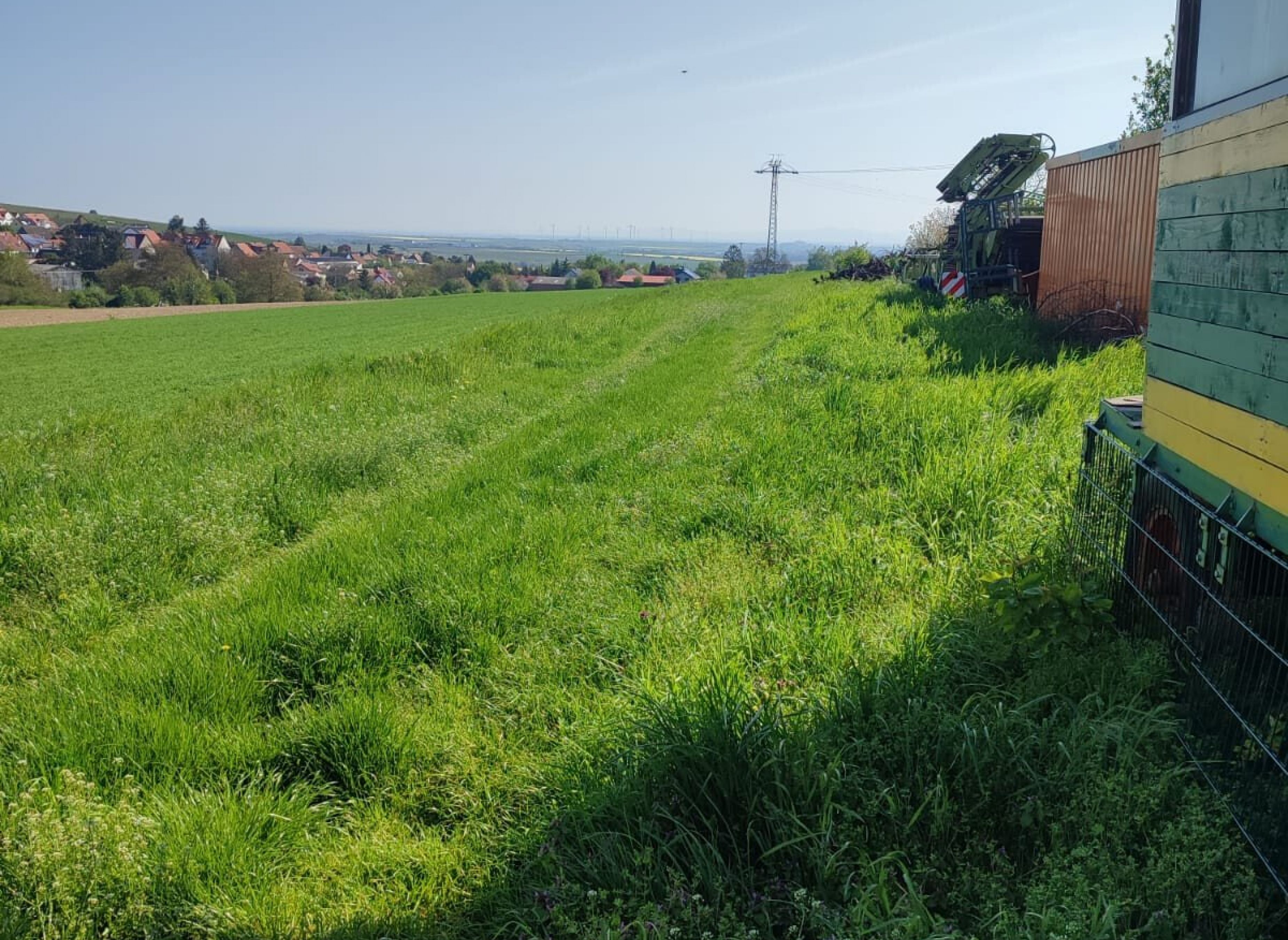 Am Rande von Kindenheim mit Blick auf den Ort Kindenheim und die Rheinebene — Photo 3