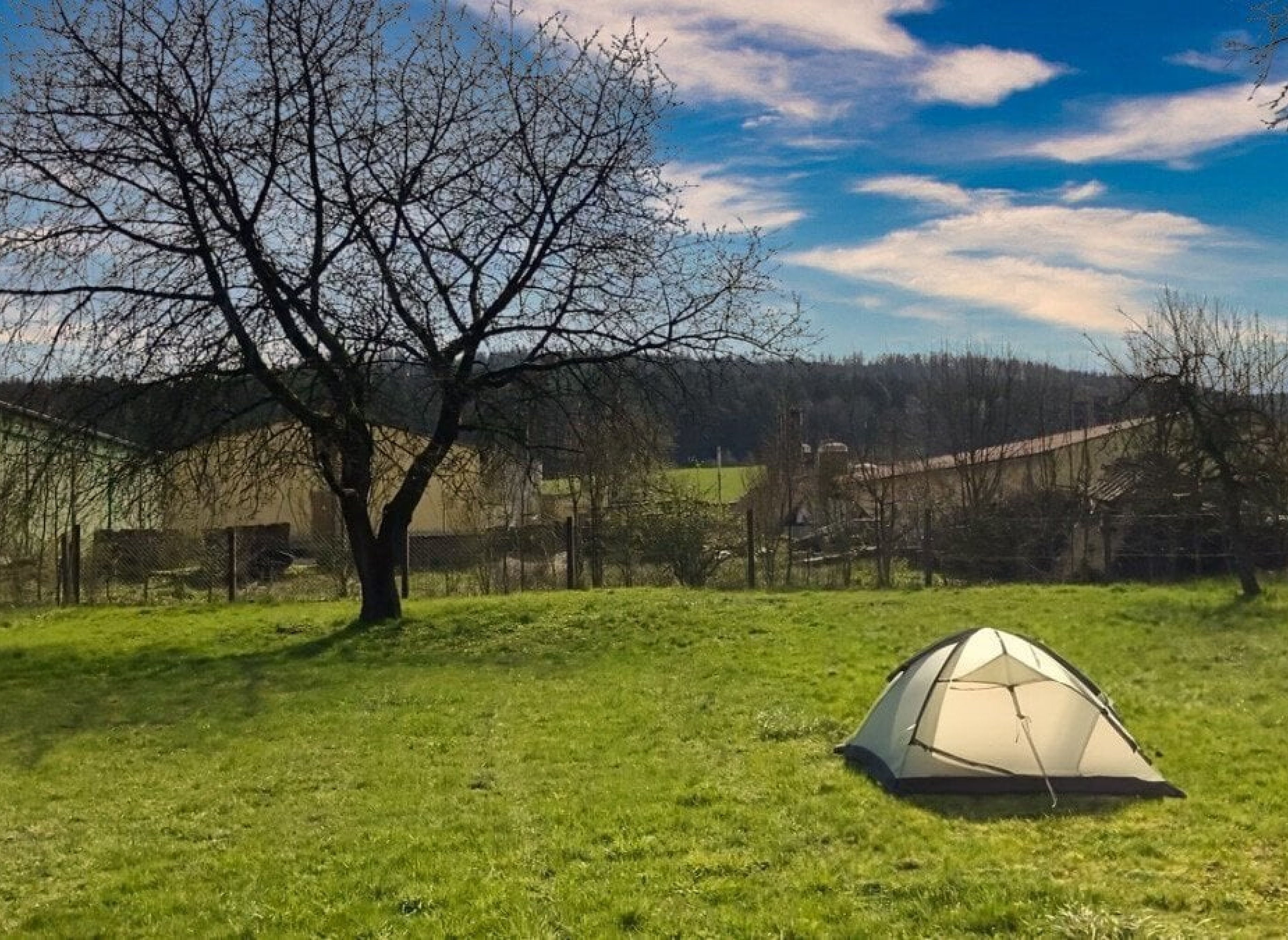 Wunderschöne Gartenwiese im Thüringer Wald nahe des Bergsee Ratscher
