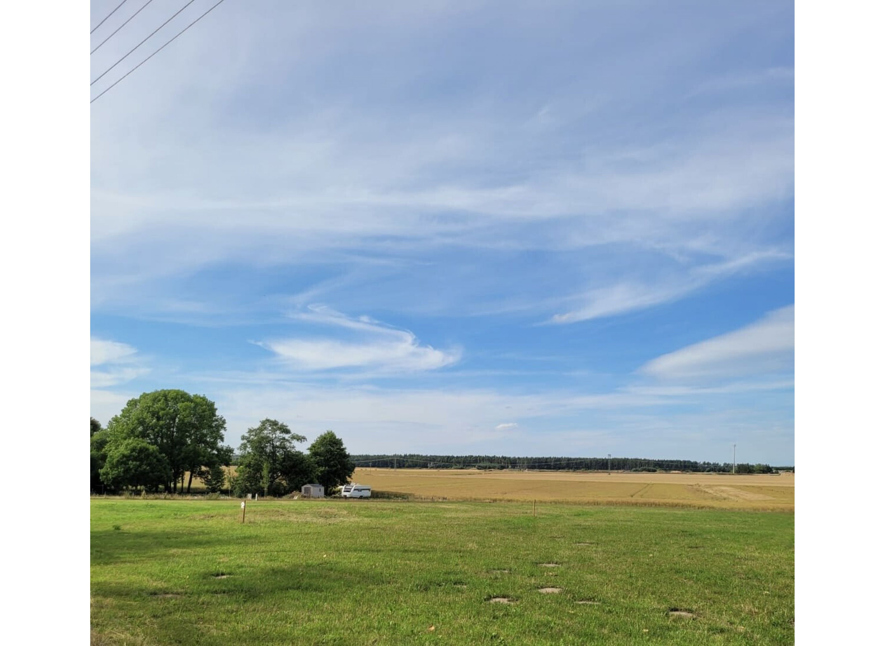 Idyllische Wiese an der Kaffeerösterei