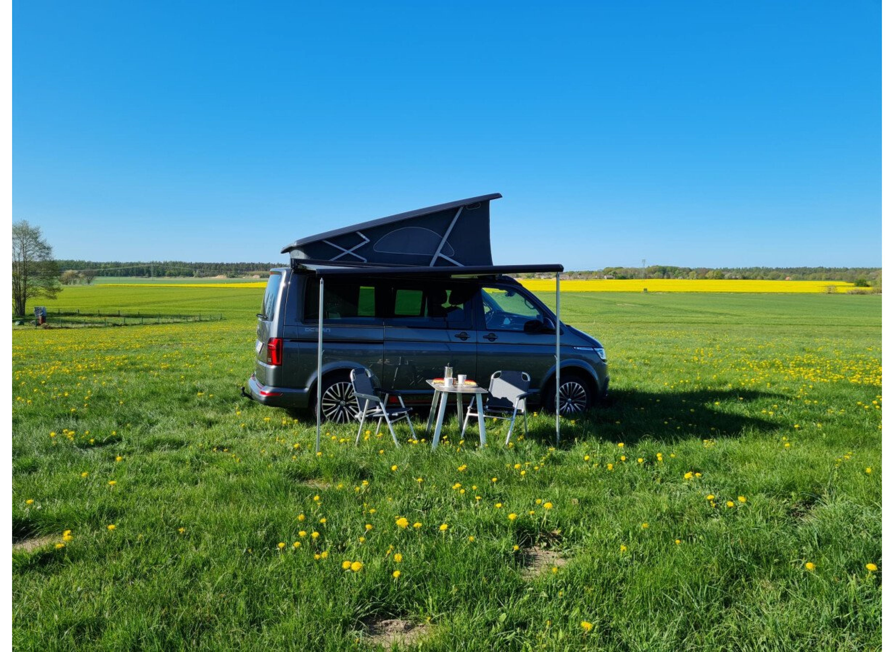 Idyllische Wiese an der Kaffeerösterei — Photo 2