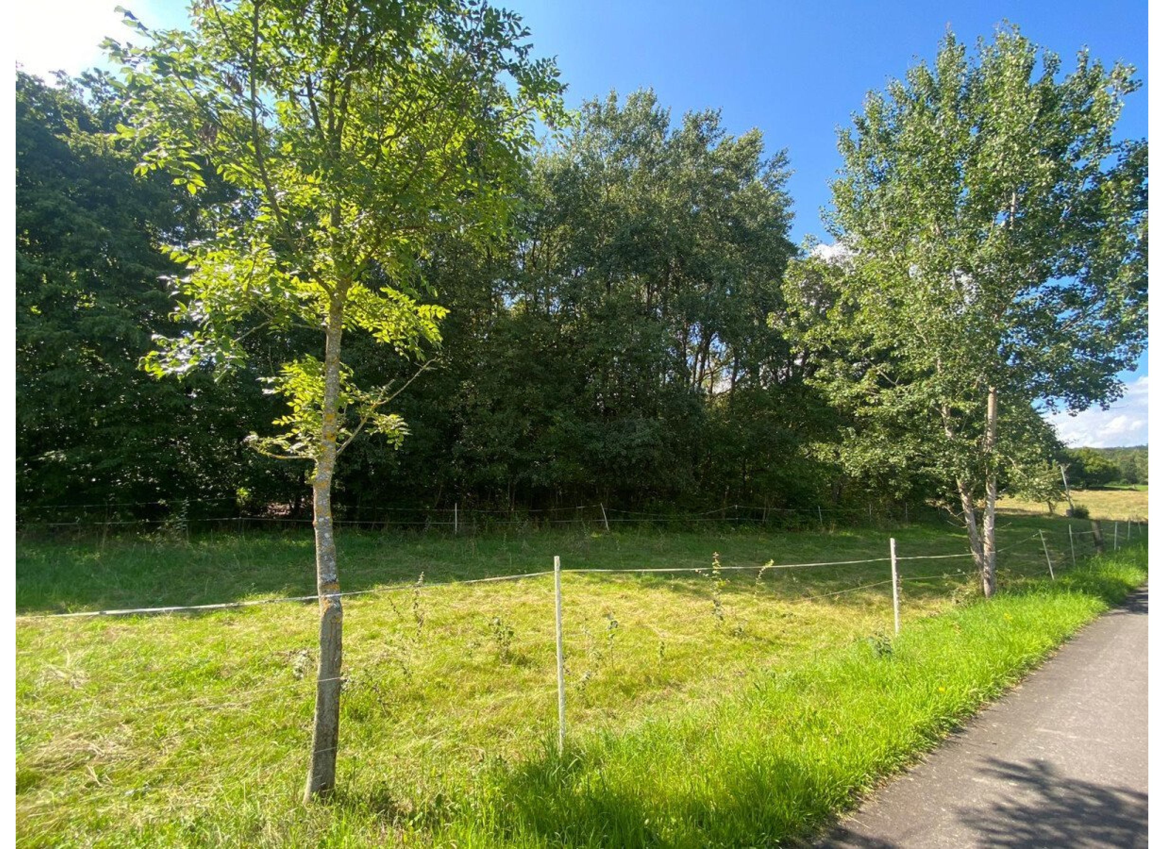 Wiese an der alten Schule