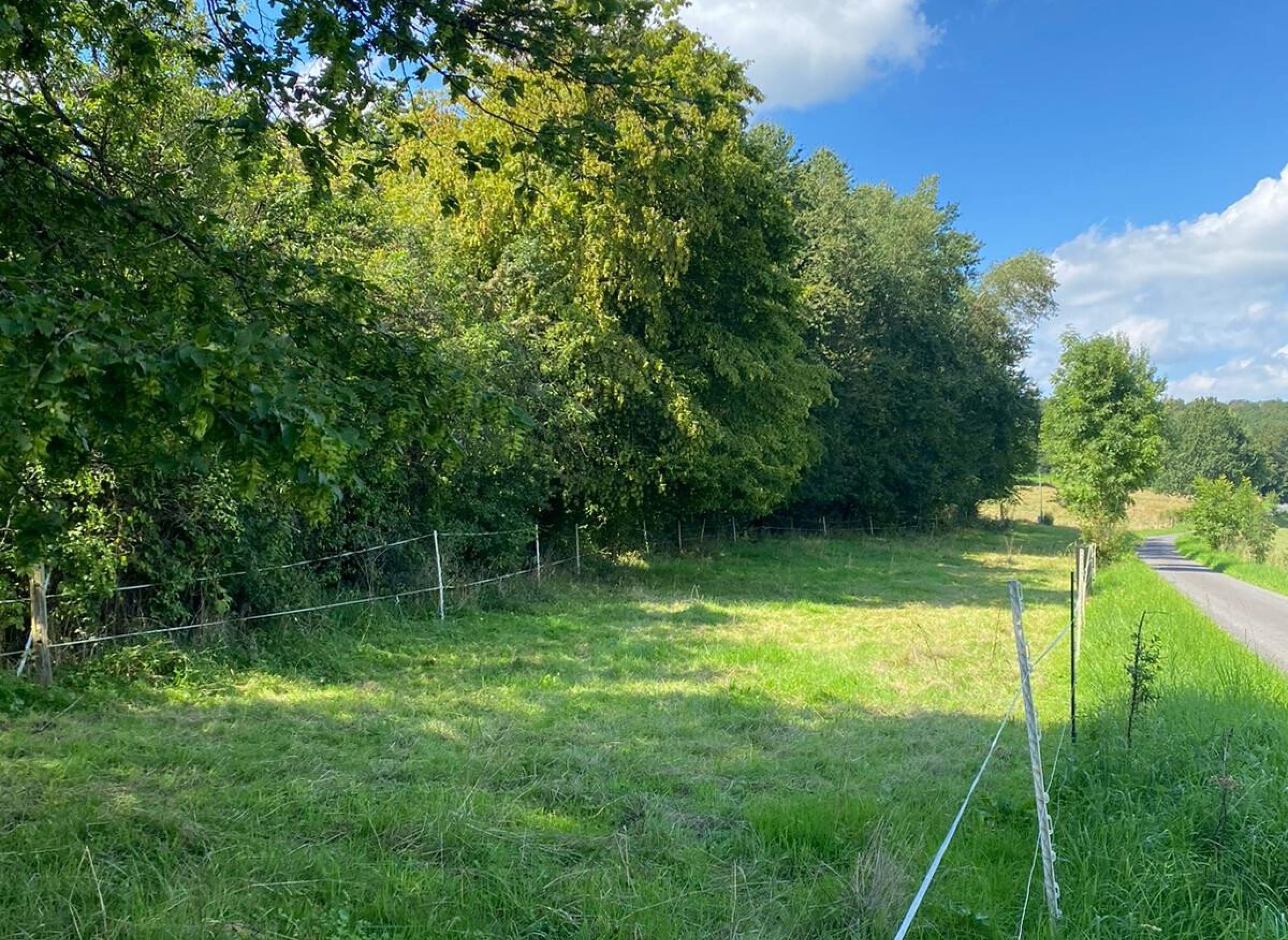 Wiese an der alten Schule — Photo 3