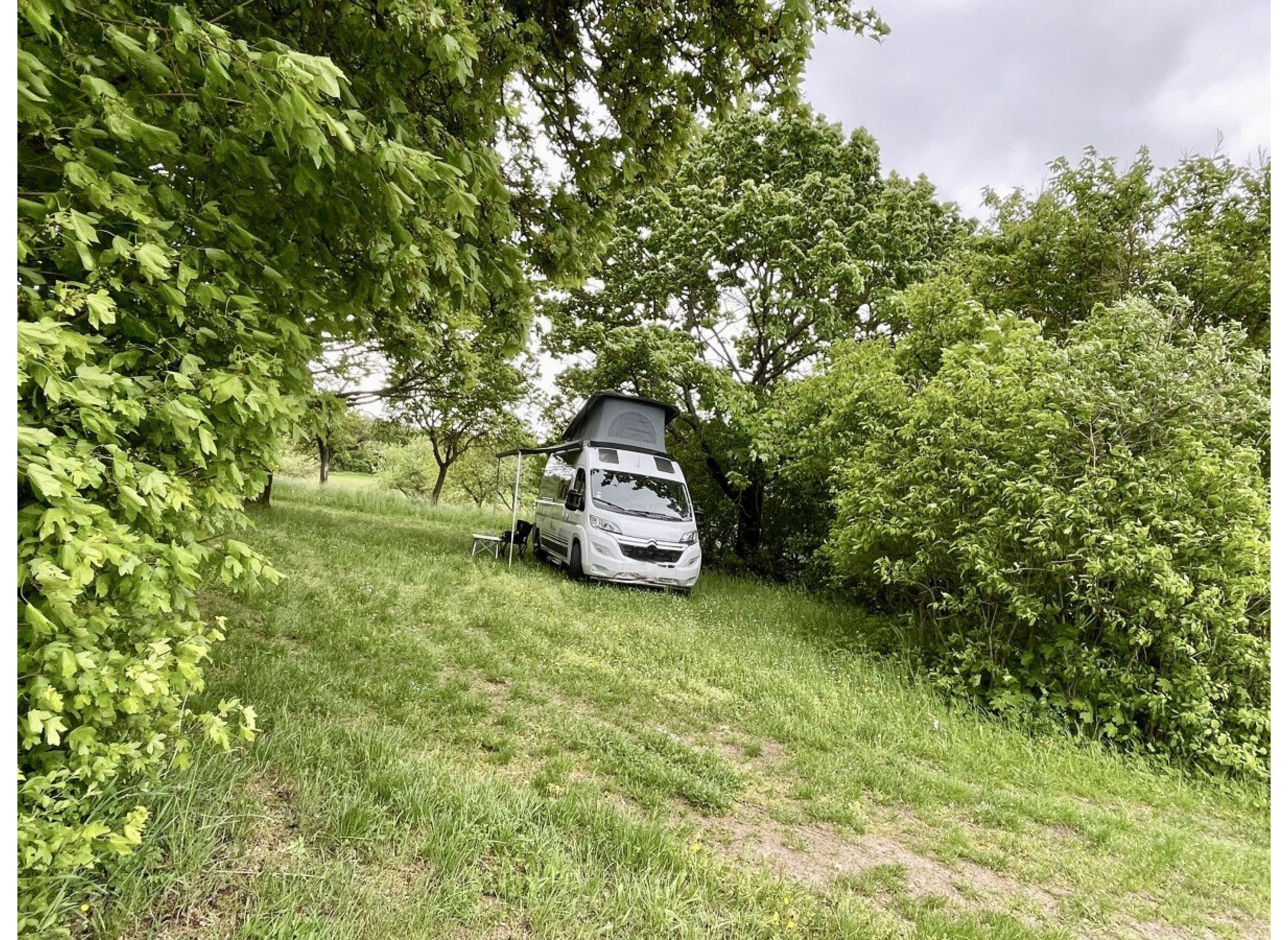 Am Grillplatz Birnfeld