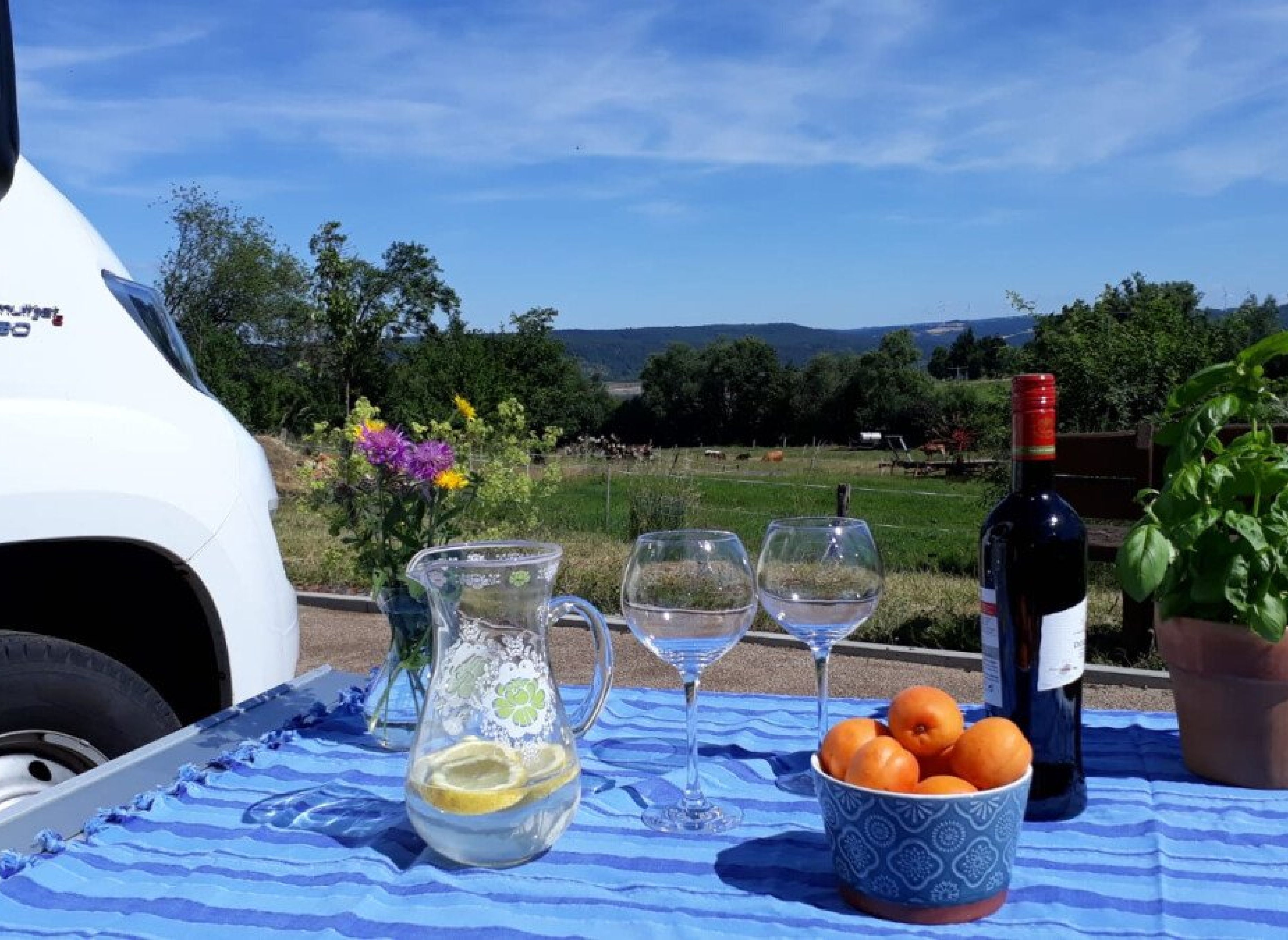 GlückSeeligkeit — Photo 2