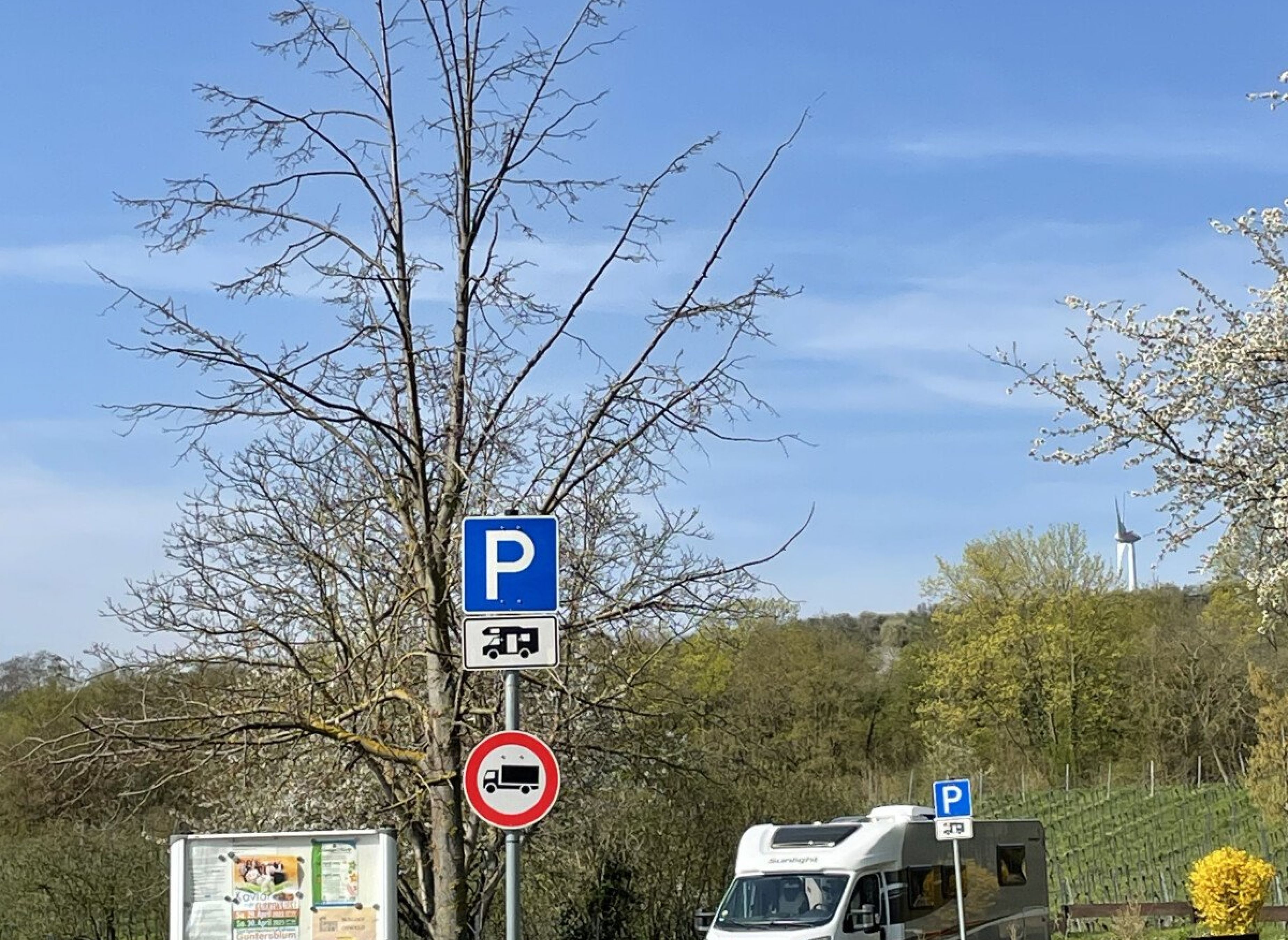 Caravanstellplatz Guntersblum