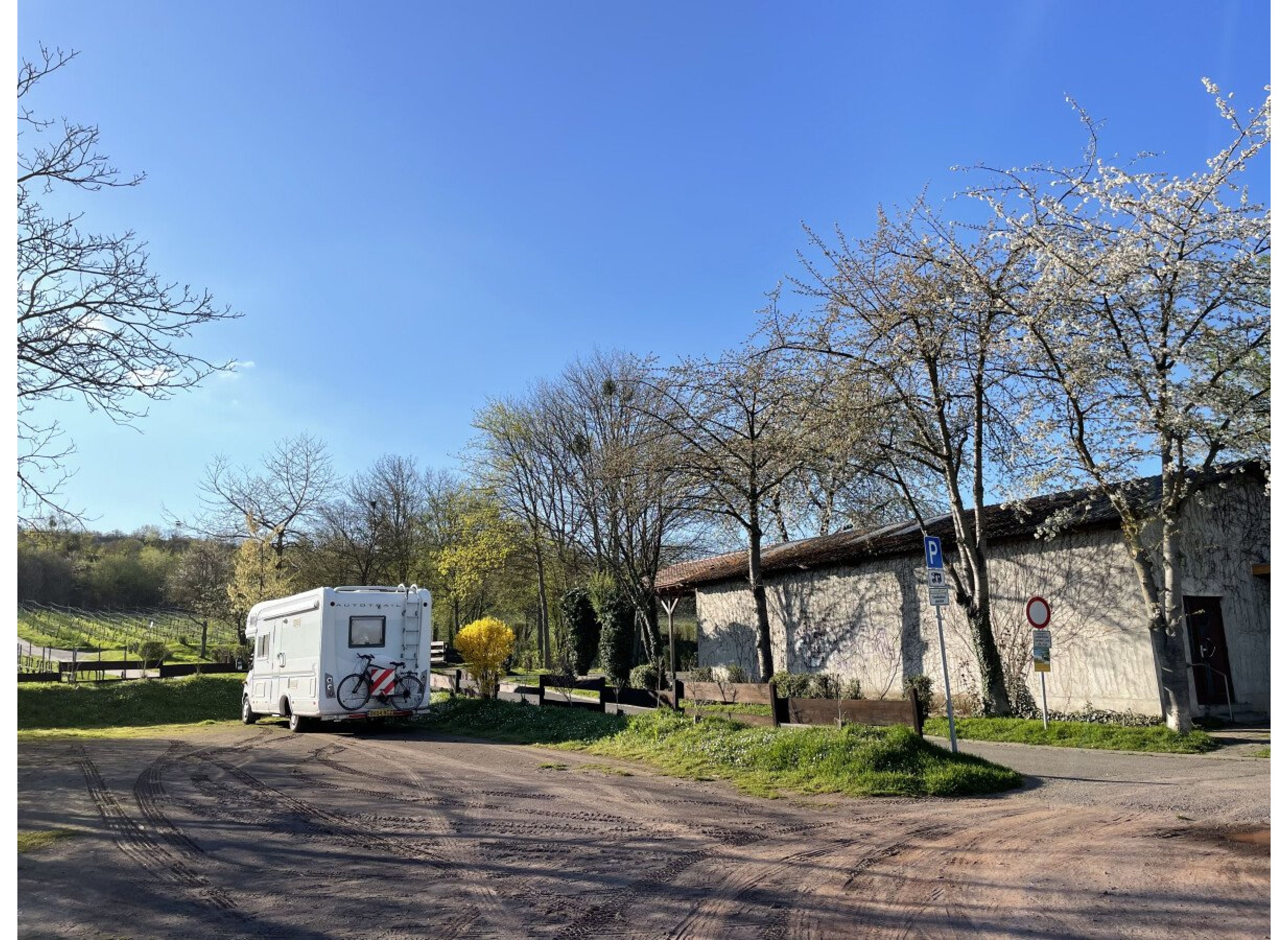 Caravanstellplatz Guntersblum — Photo 3