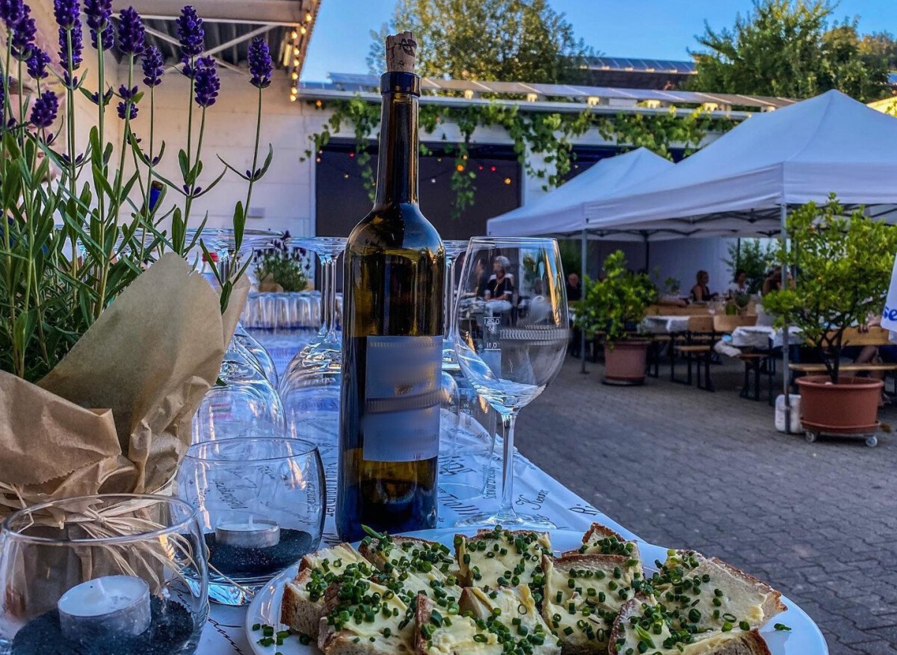 Wohnen am Weingut am Fuße des Wartbergs — Photo 3