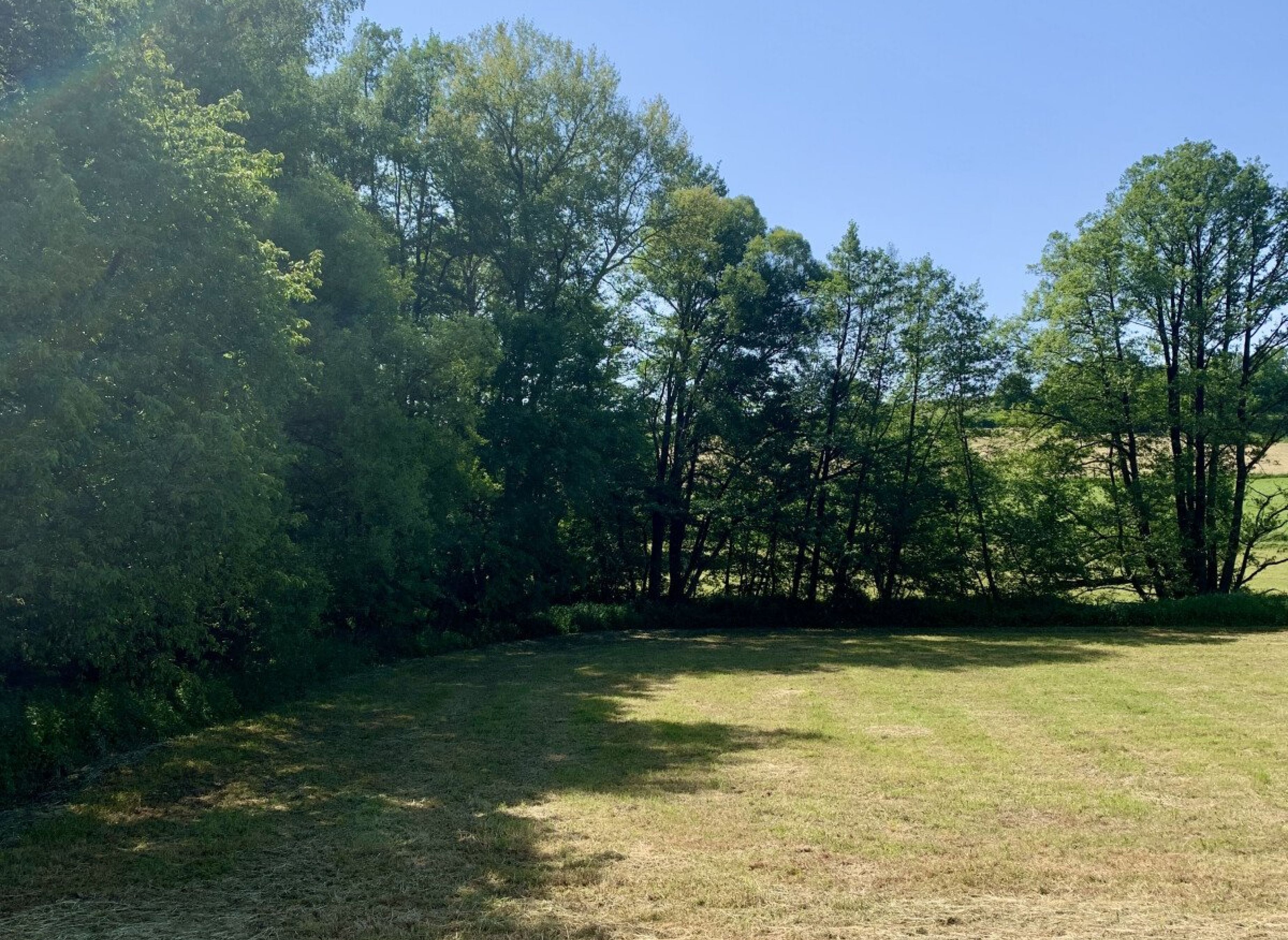 Aufwachen auf dem Abendstern — Photo 2