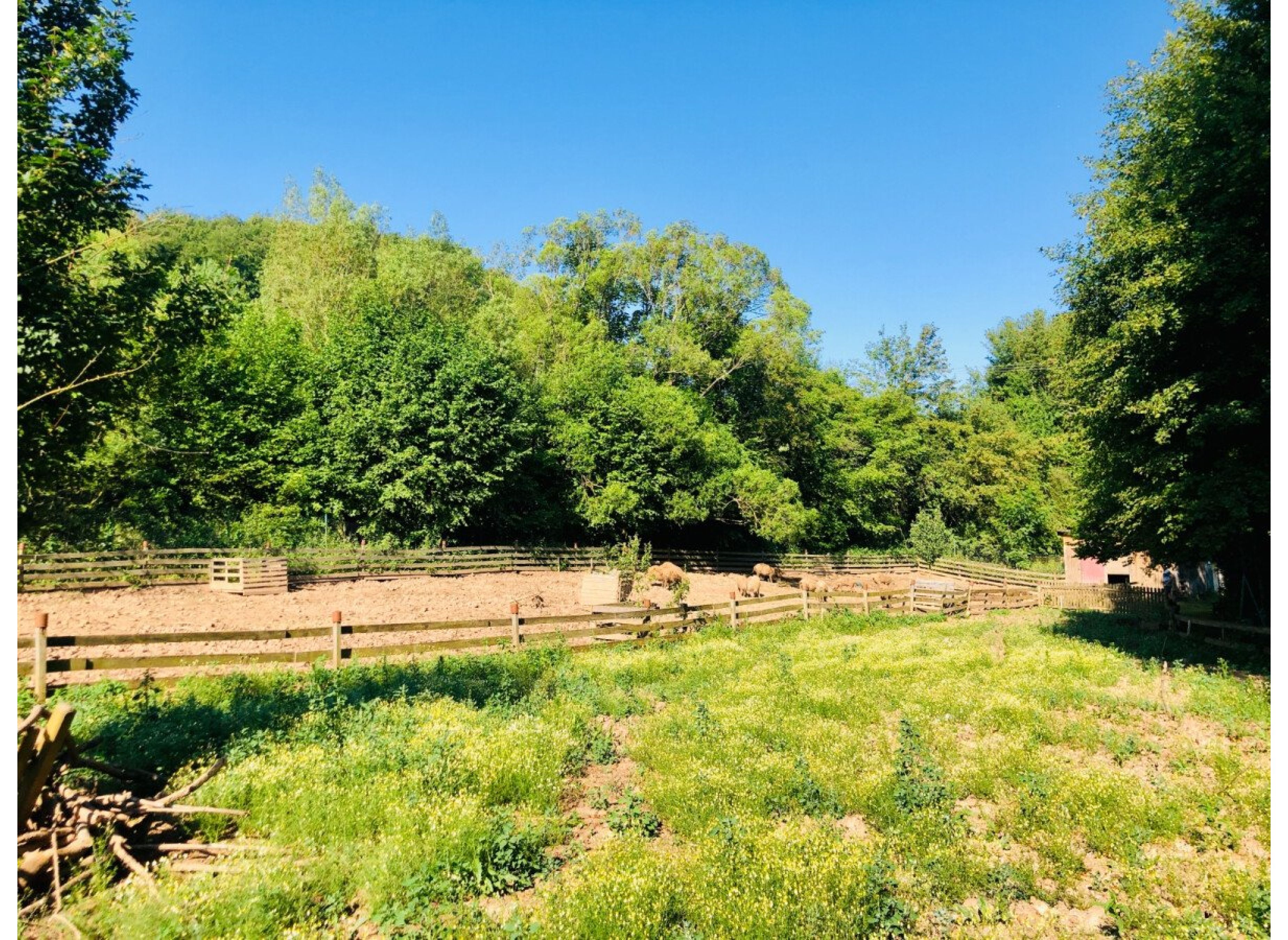 Lauschiger Wiesenstellplatz zwischen zwei kleinen Bächen — Photo 2