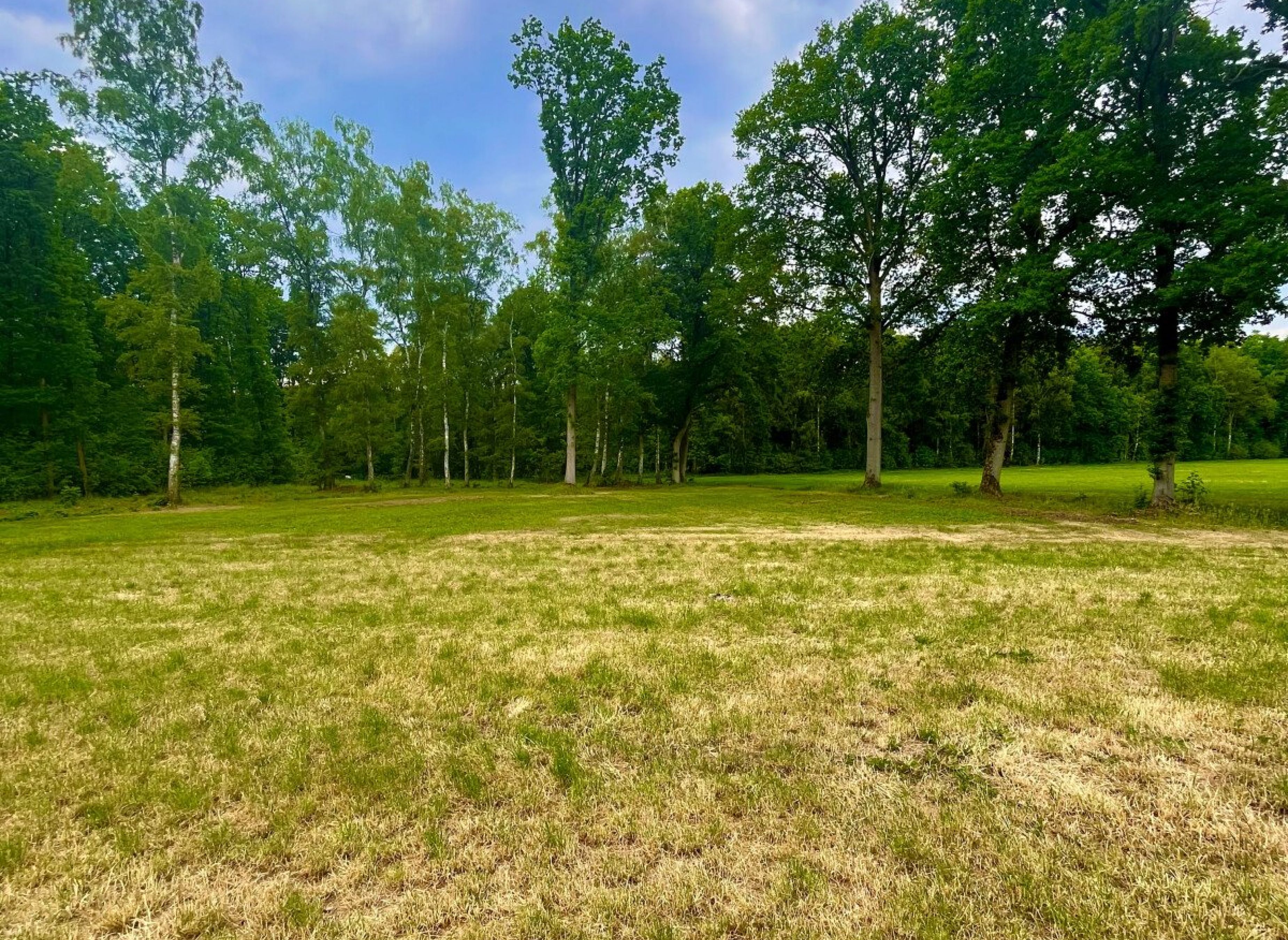 Stellplatz im idyllischen Wiesengrund