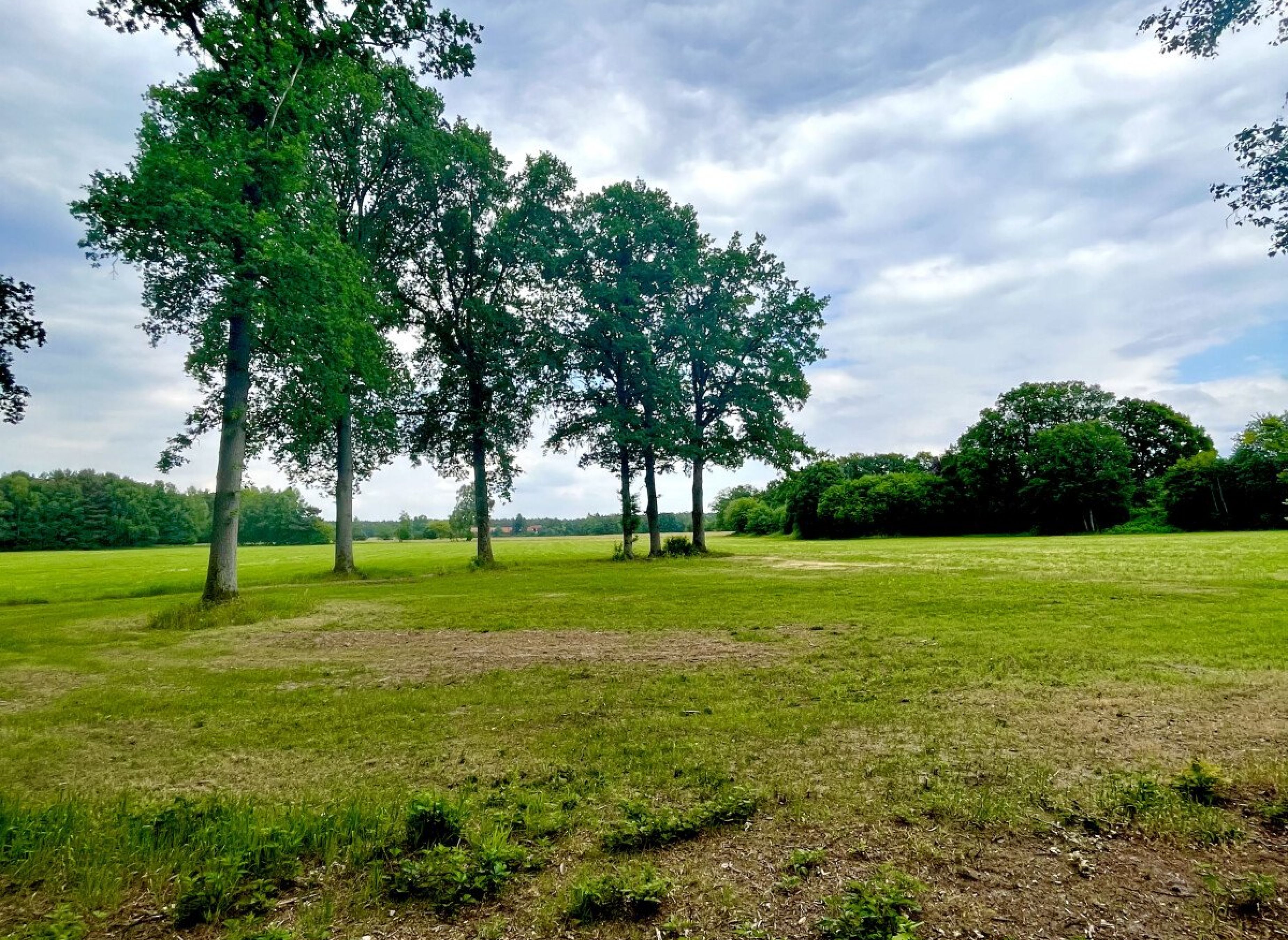 Stellplatz im idyllischen Wiesengrund — Photo 2