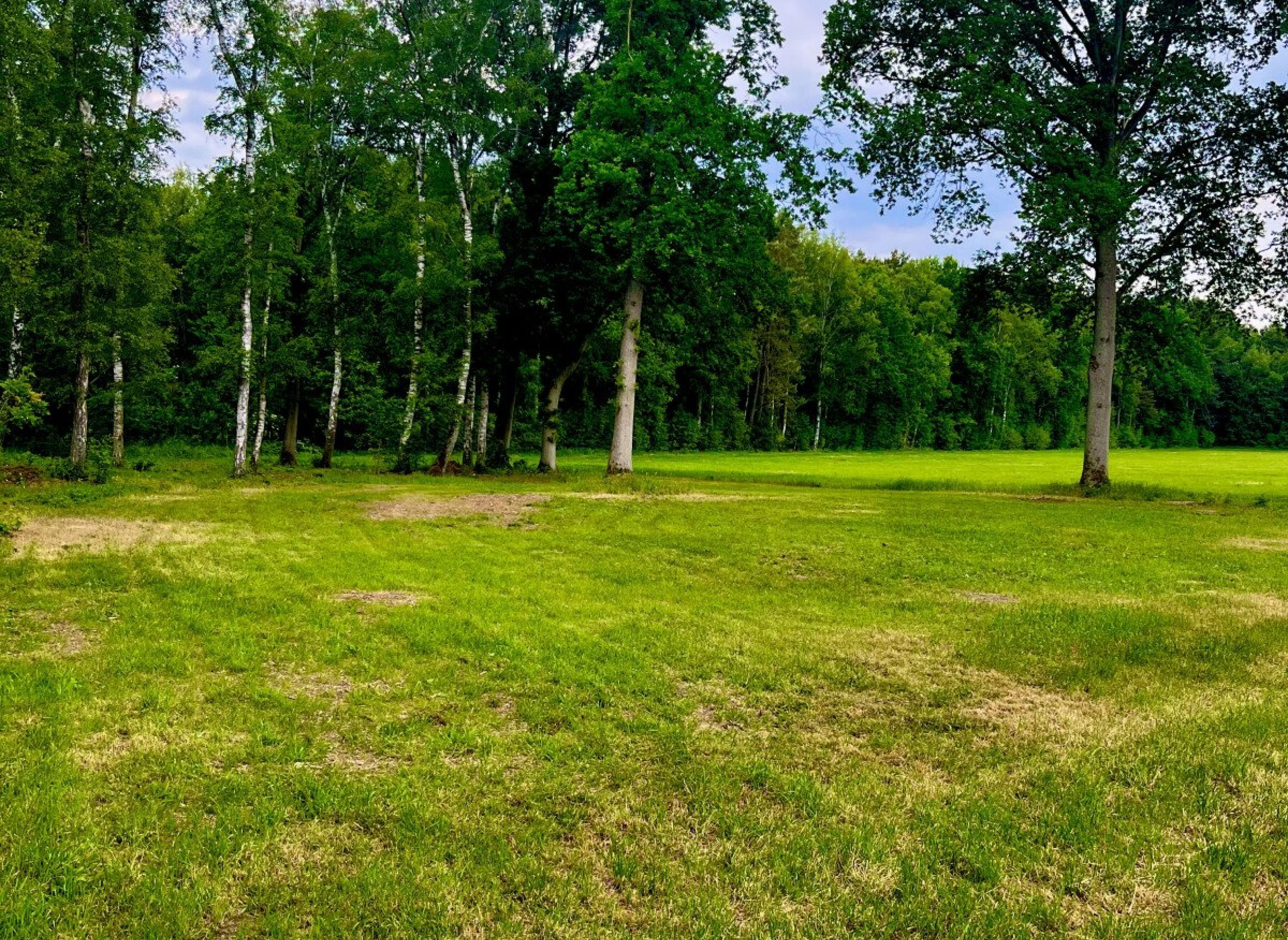 Stellplatz im idyllischen Wiesengrund — Photo 3