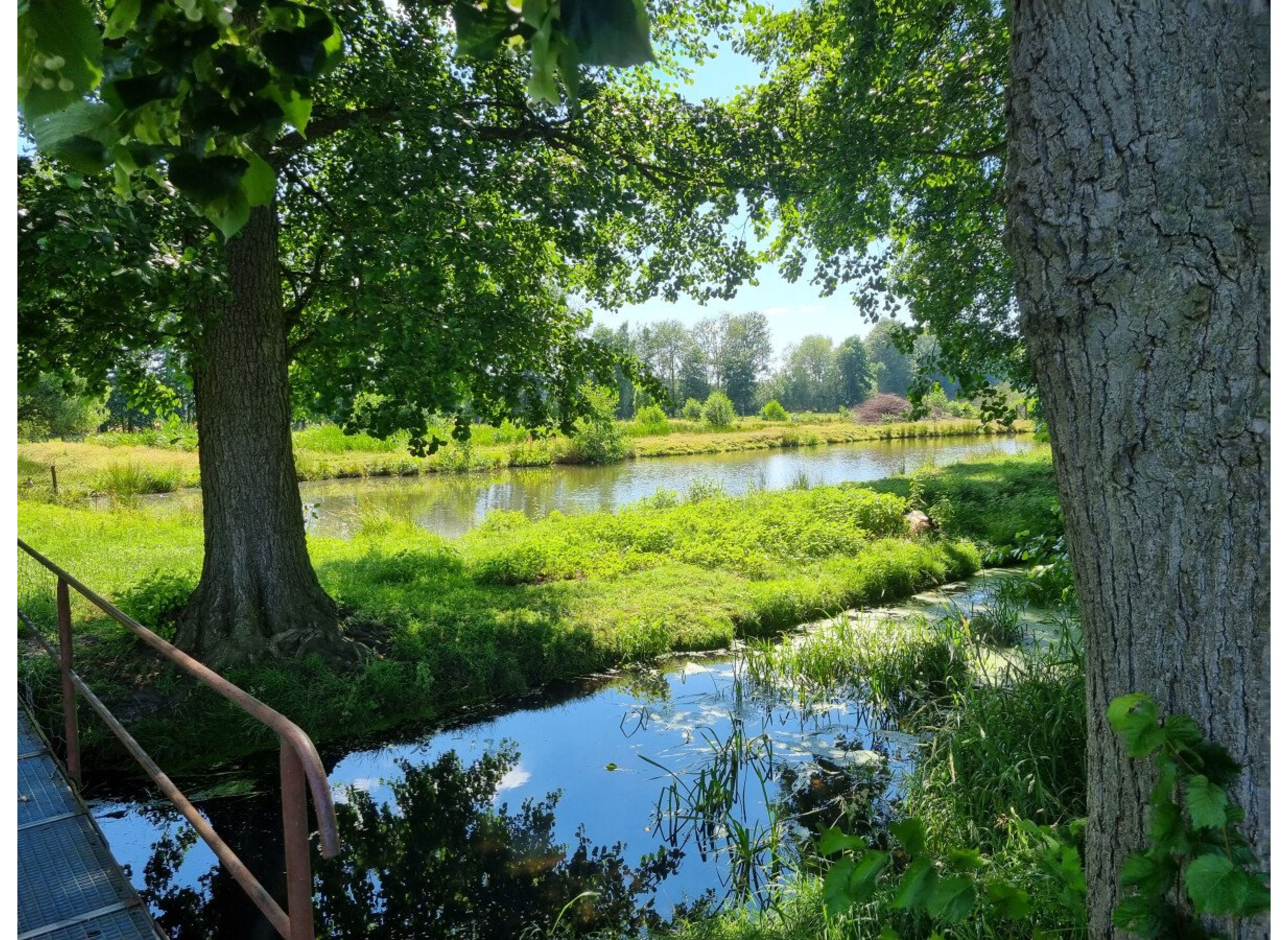 ruhiger stellplatz in ortsrandlage mit idyllischen naturblick und nachthimmel, naturblick & sternenhimmel