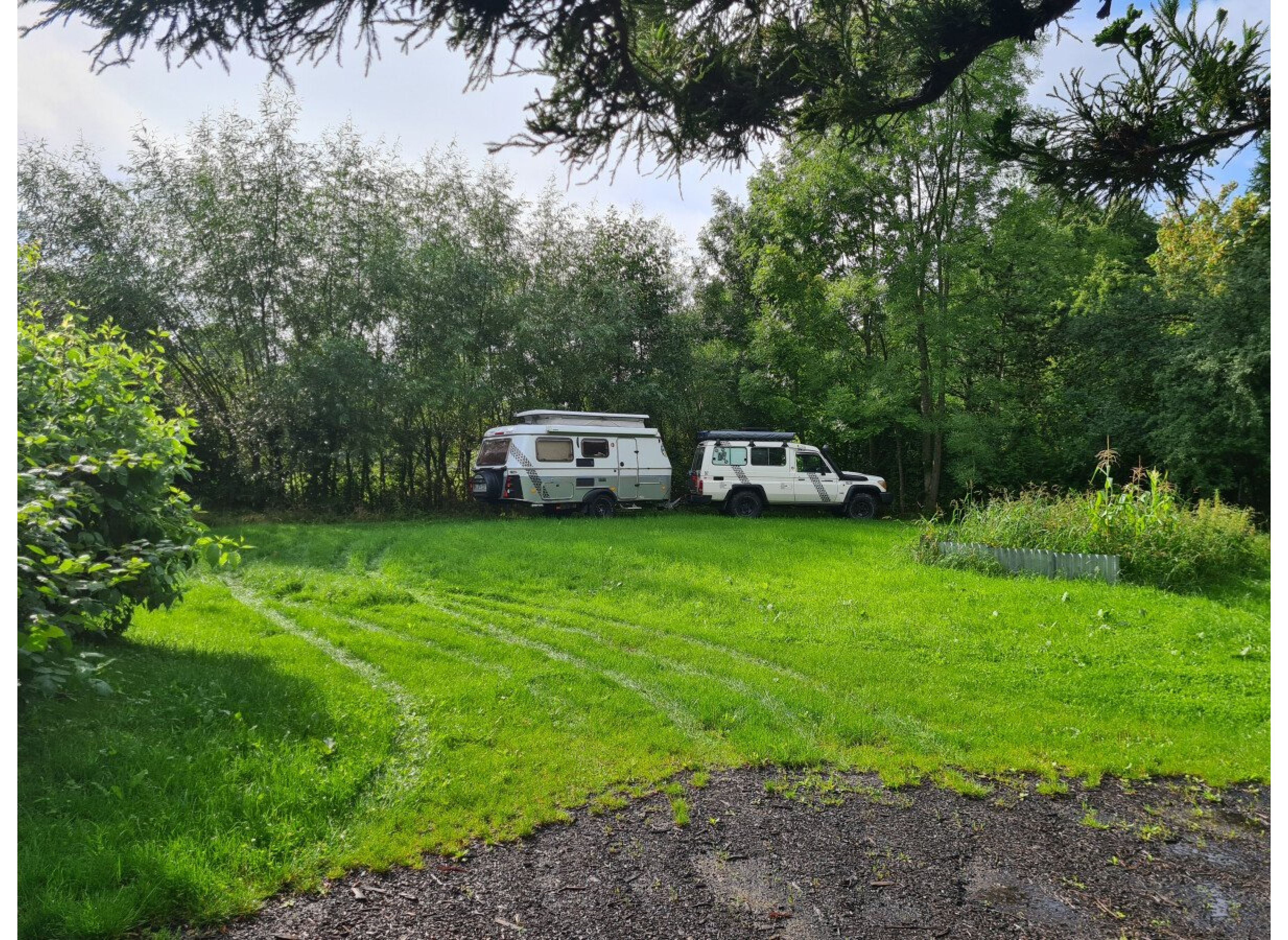 Hamburgs grünes Tor