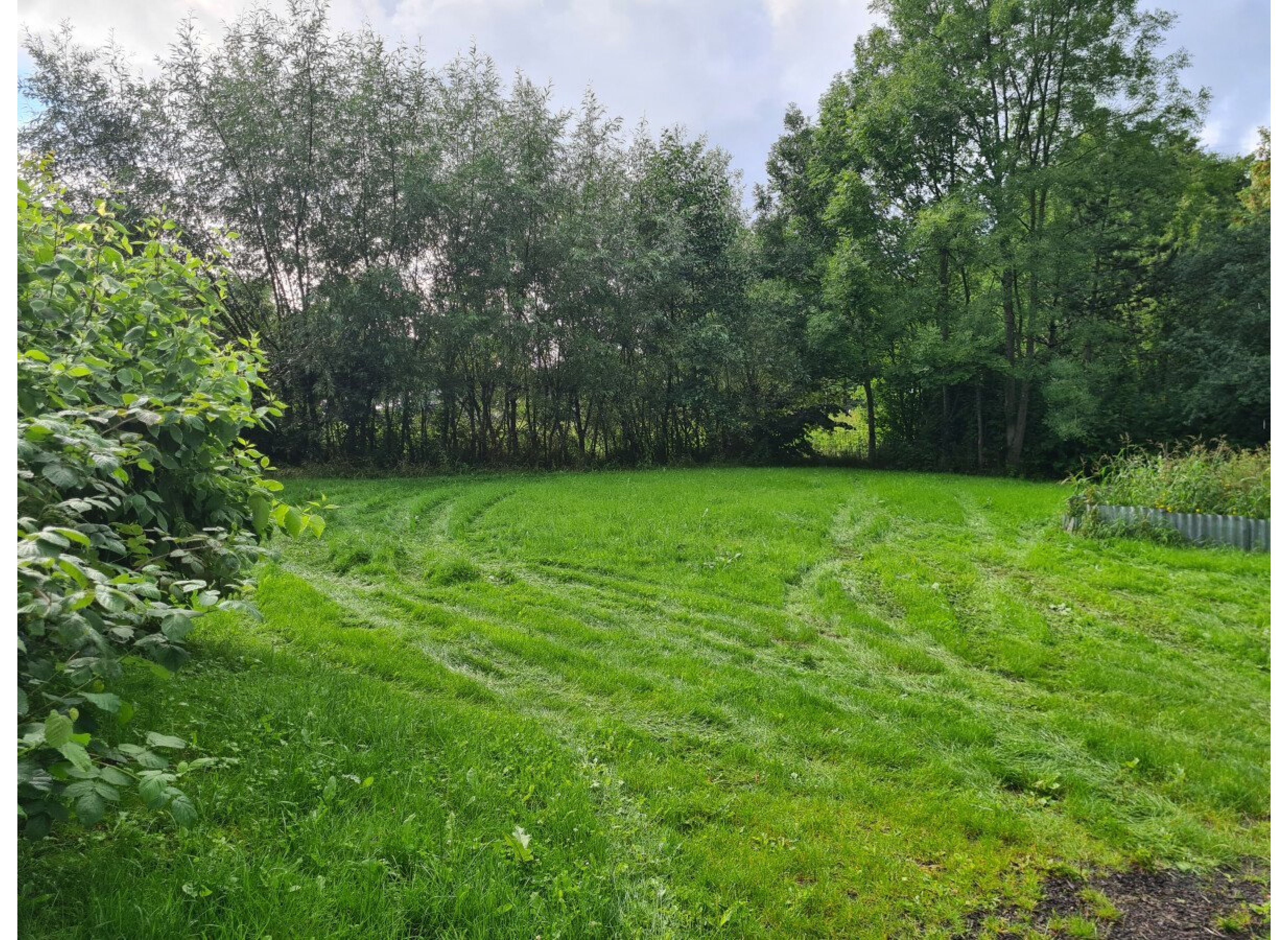 Hamburgs grünes Tor — Photo 2