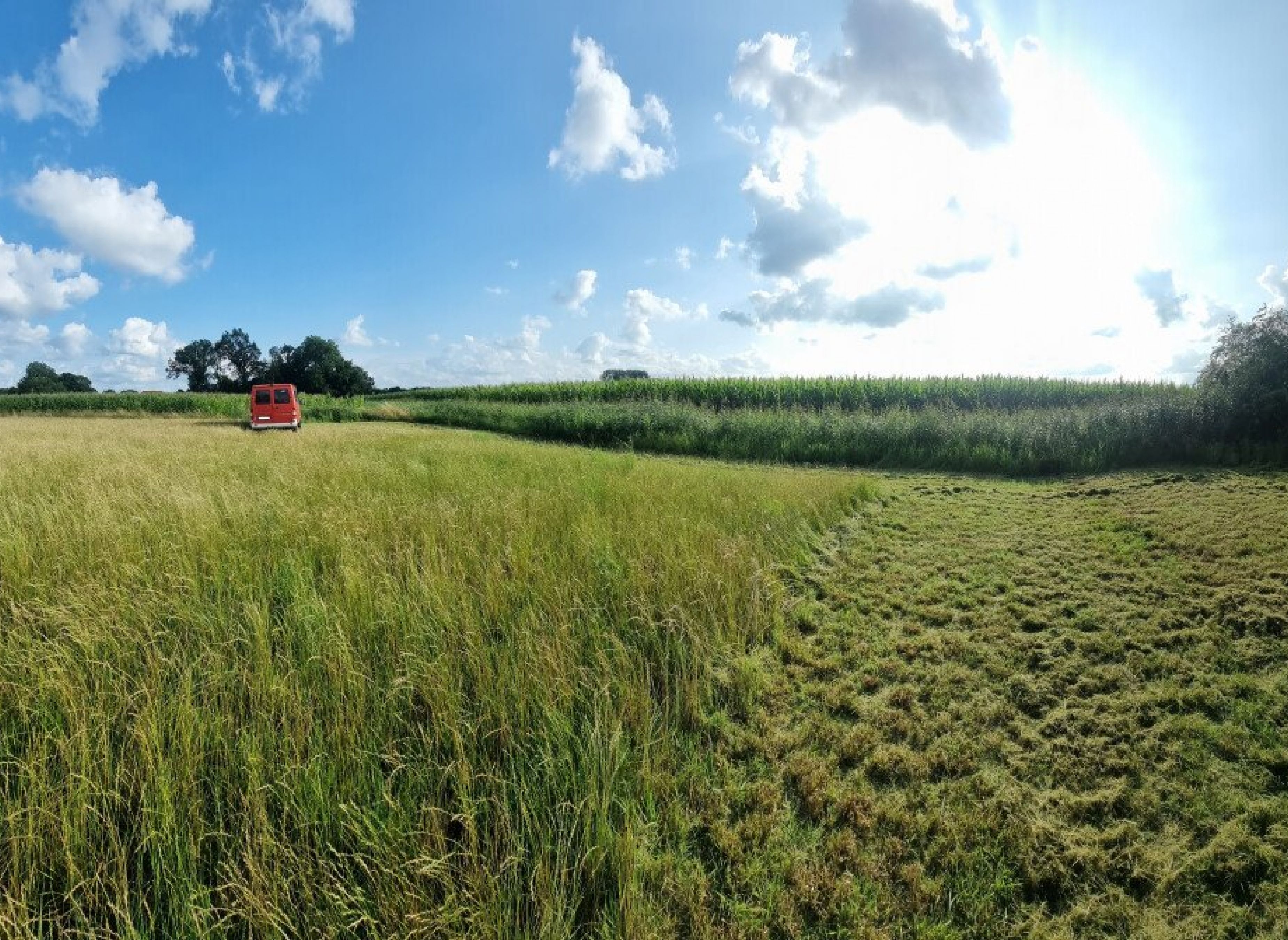 Stellplatz auf der Heuwiese