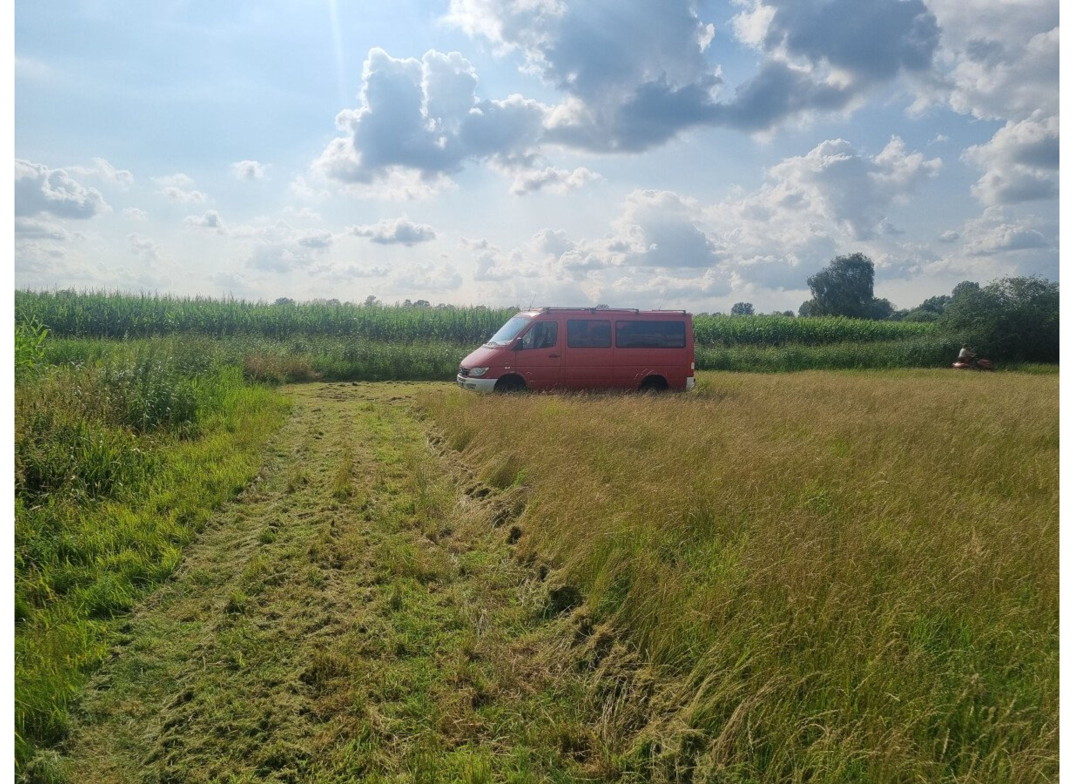 Stellplatz auf der Heuwiese — Photo 2