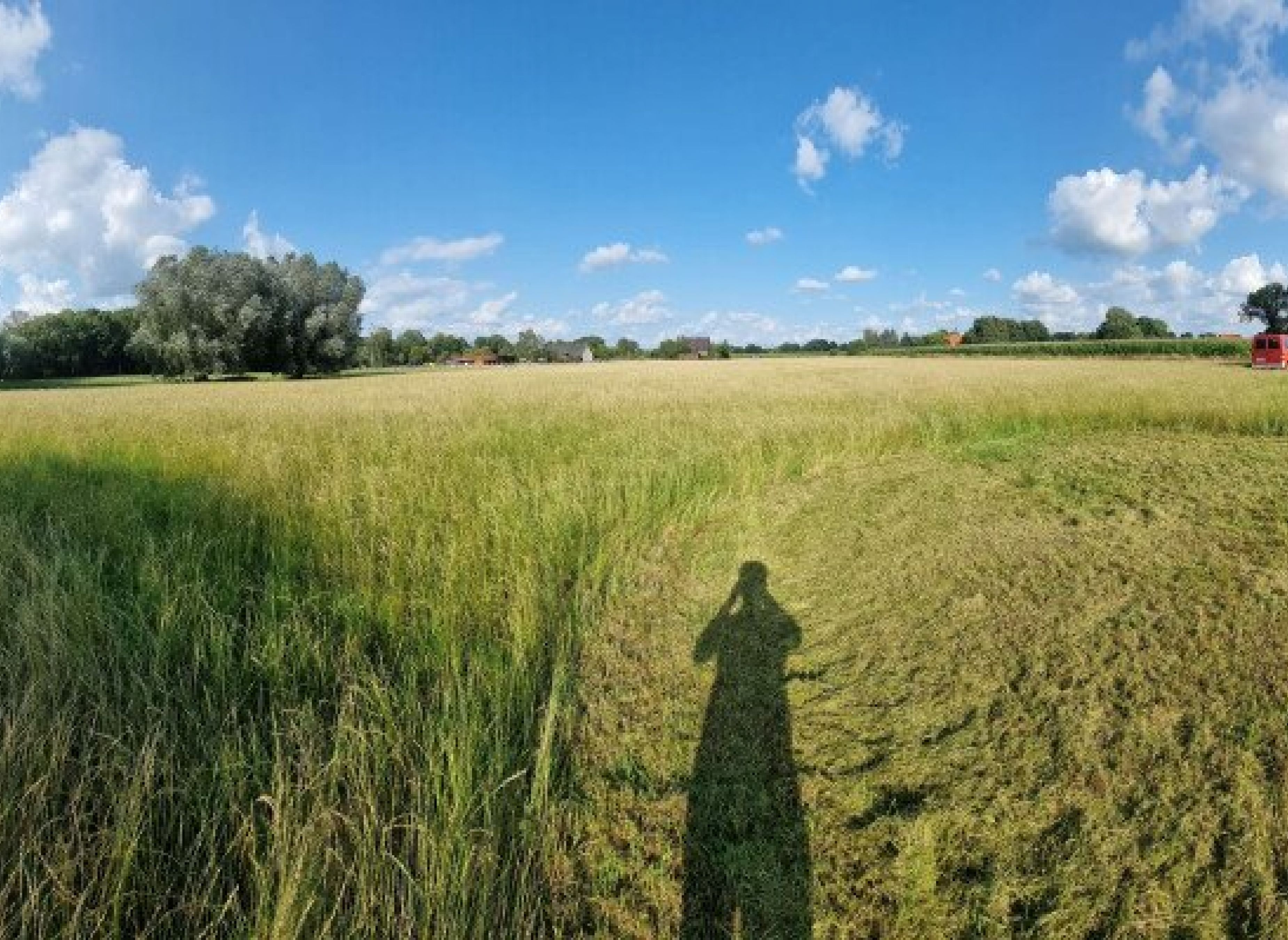 Stellplatz auf der Heuwiese — Photo 3