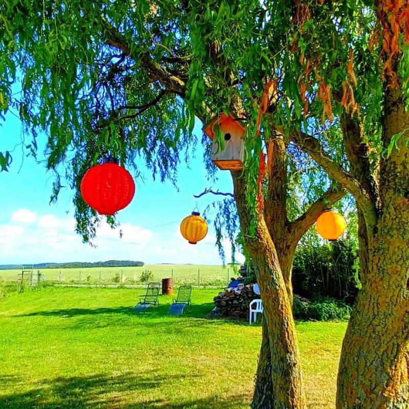 Landluft schnuppern in der schönen Nordpfalz — Photo 5